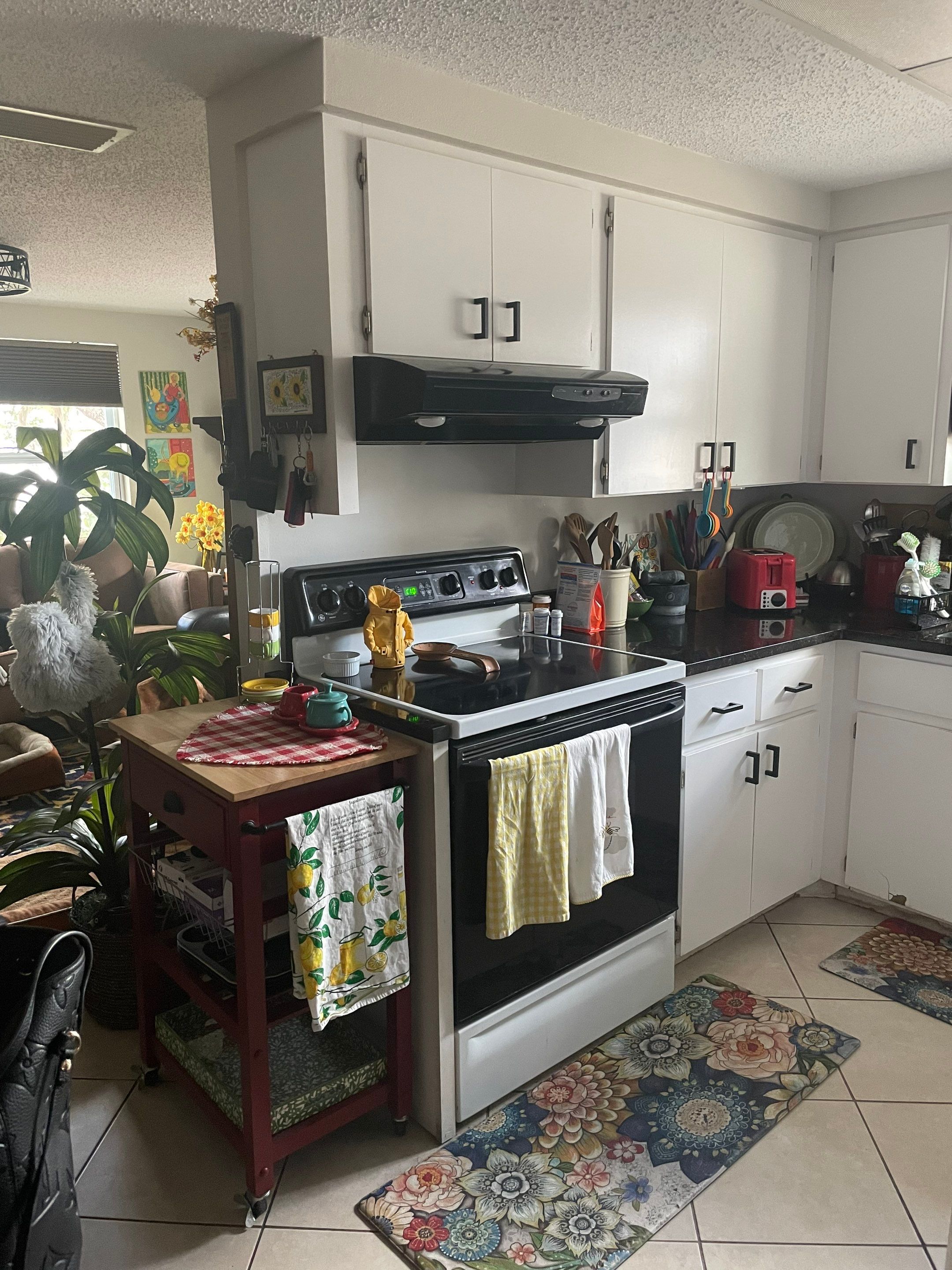 Project in Sarasota by Sarasota Kitchen Company