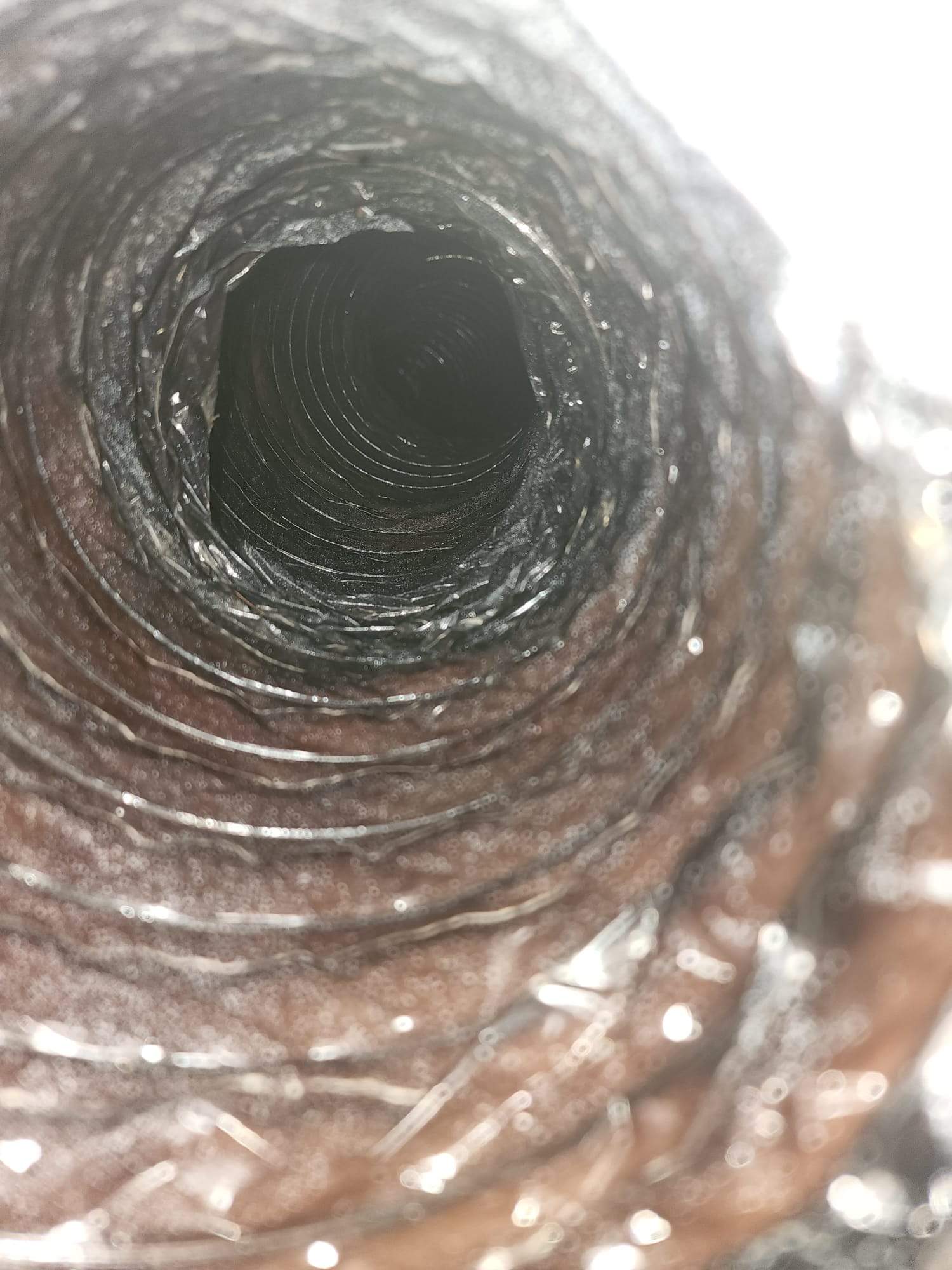Holmes Beach AC Mold Deep Cleaning by Ampm Restoration Services