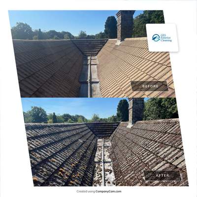 Roof Clean  - Moss Removal - Gutter Clean using Honda 15lpm Low Pressure Washing Machine