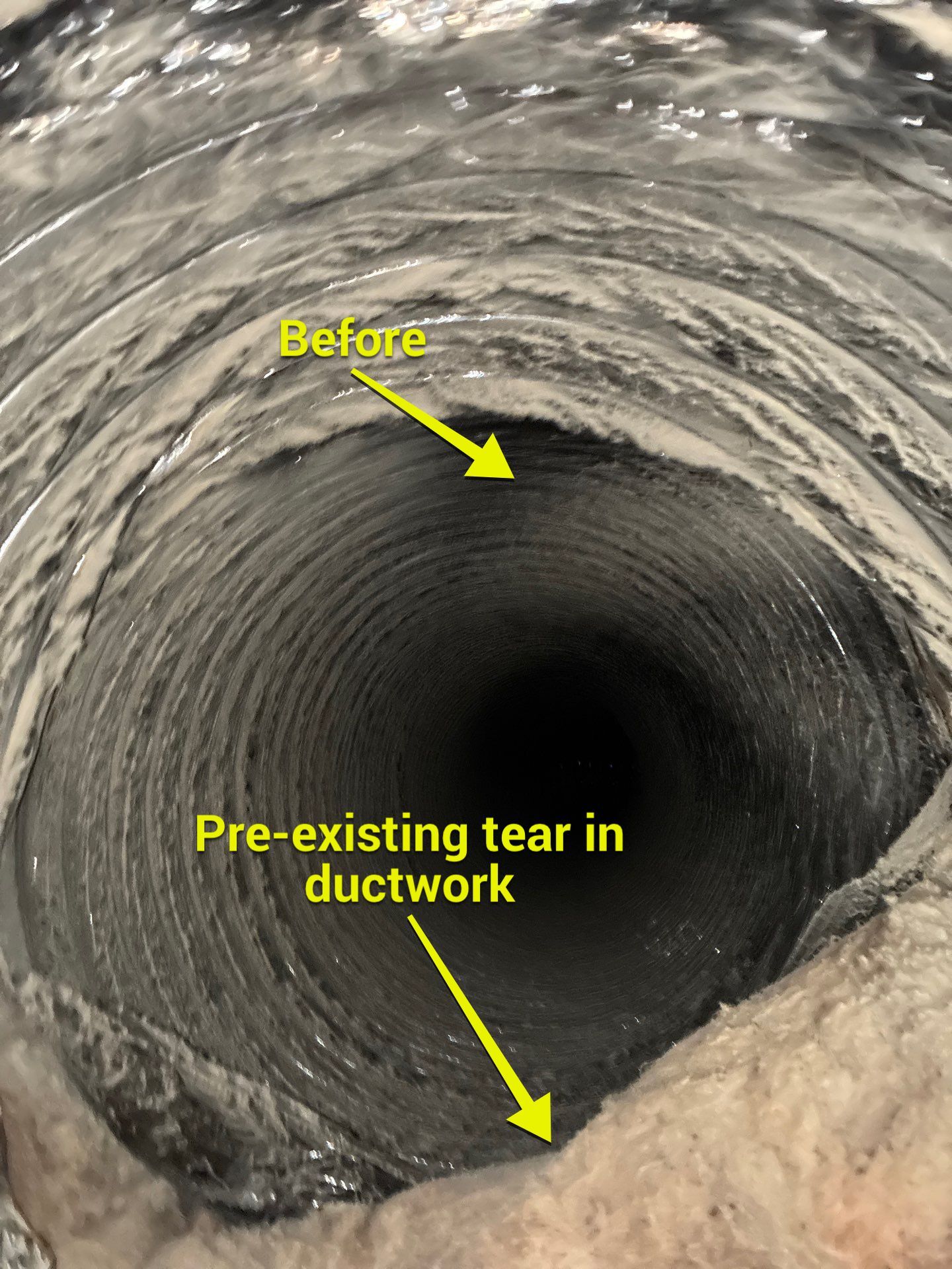 Air Duct Bath Fan Cleaning in Clermont by Hygienic Air, Inc
