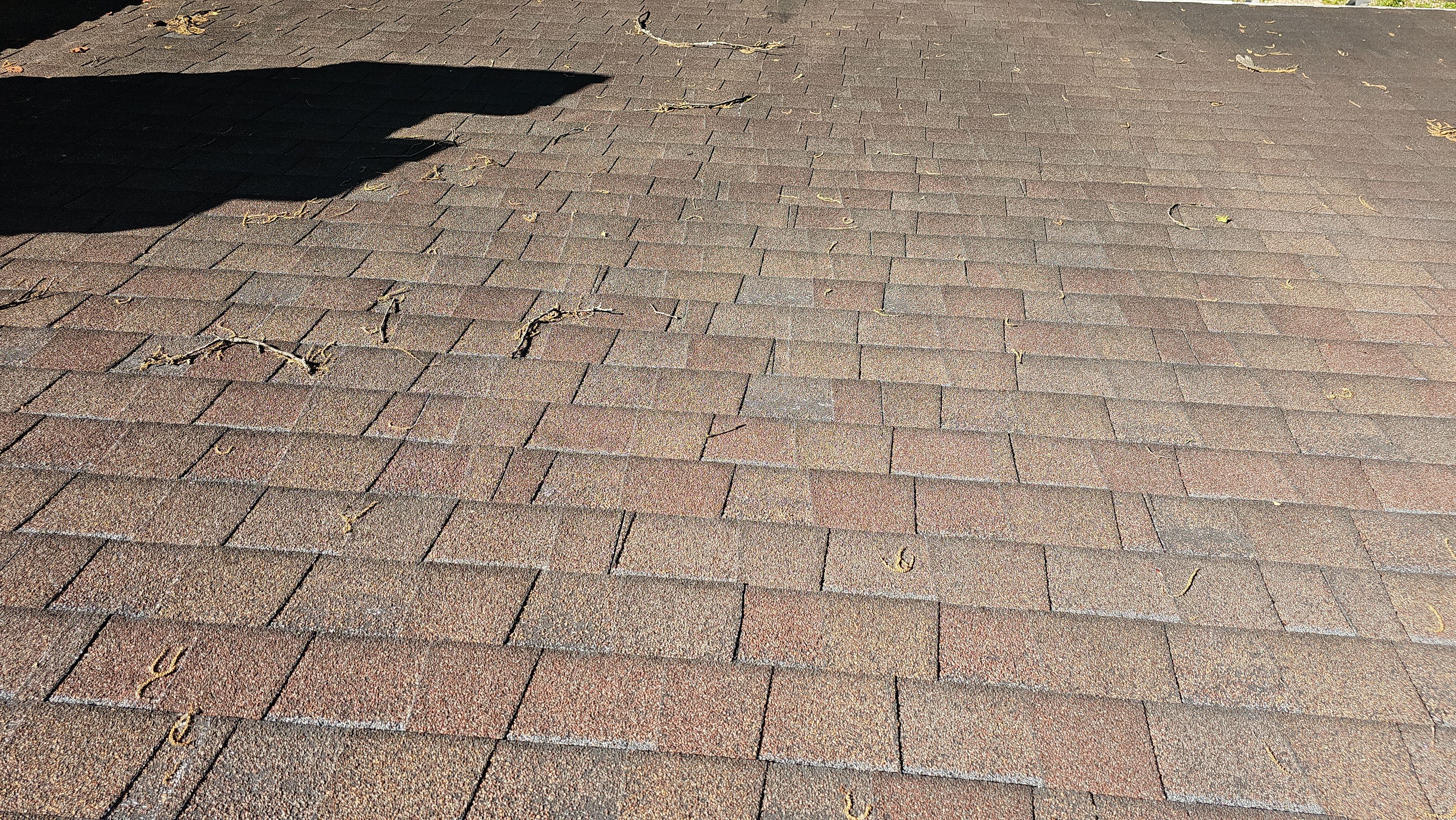 Atlas Pinnacle, Color, Woodland Green, Drip Edge, Color, White by Eagle Eye Roofing