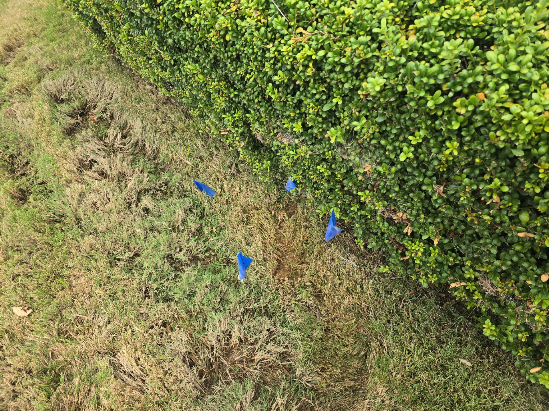 Residential Water Leak Detection Services by Alsip Locating Service, LLC