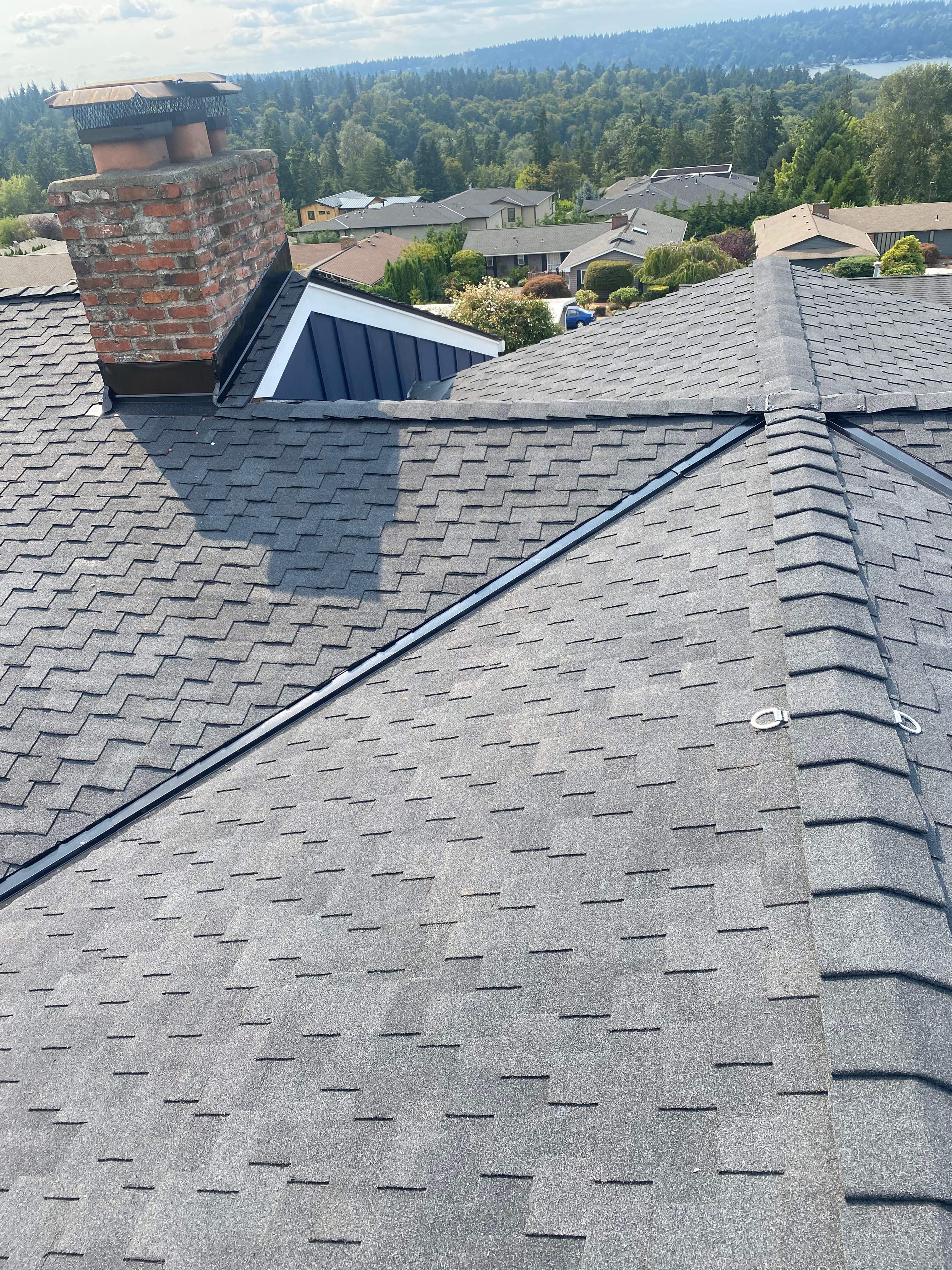 Bellevue Johnny by RoofWorks Northwest