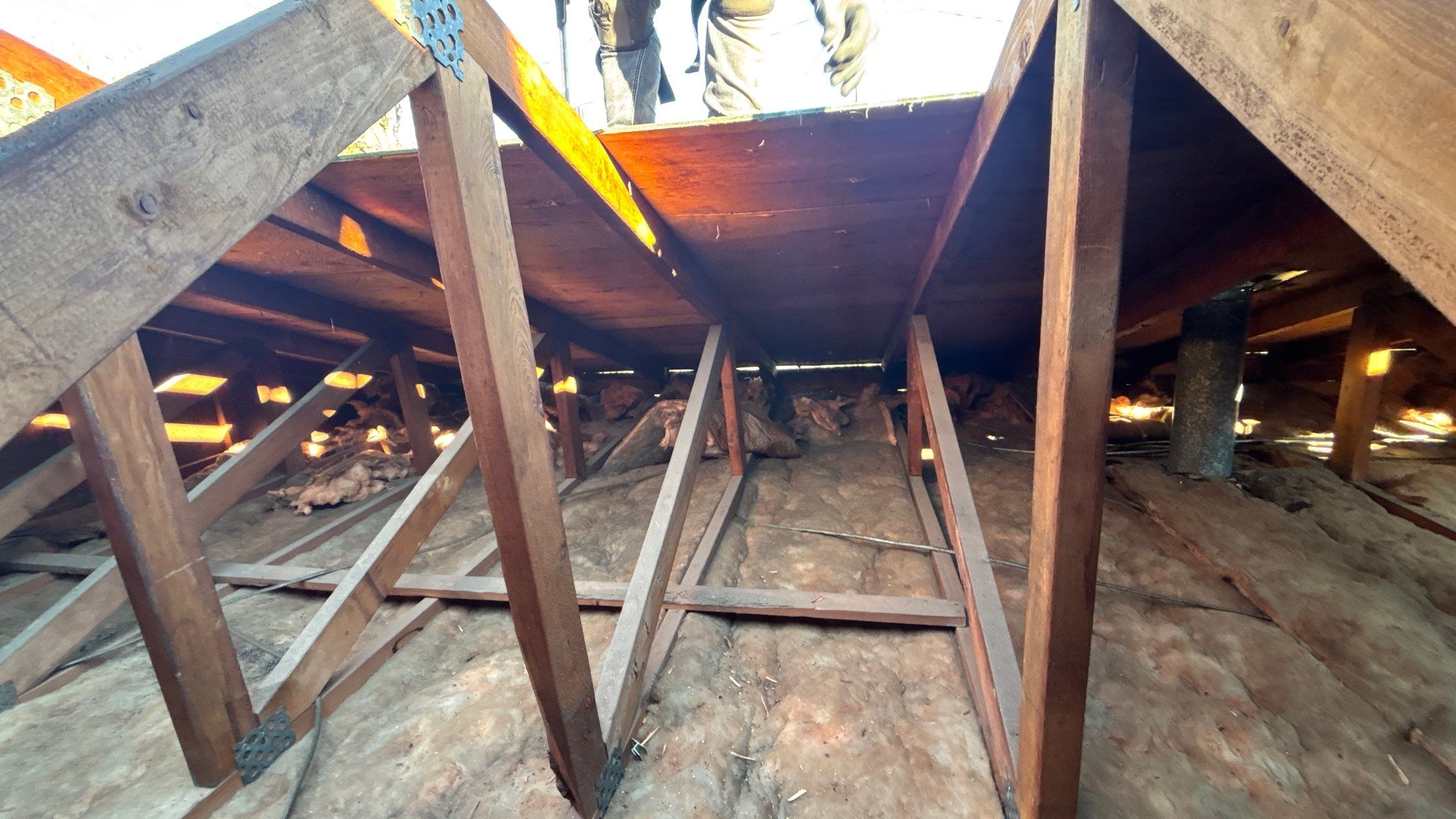 Roof Replacement using Owens Corning Brownwood by 180 Contractors