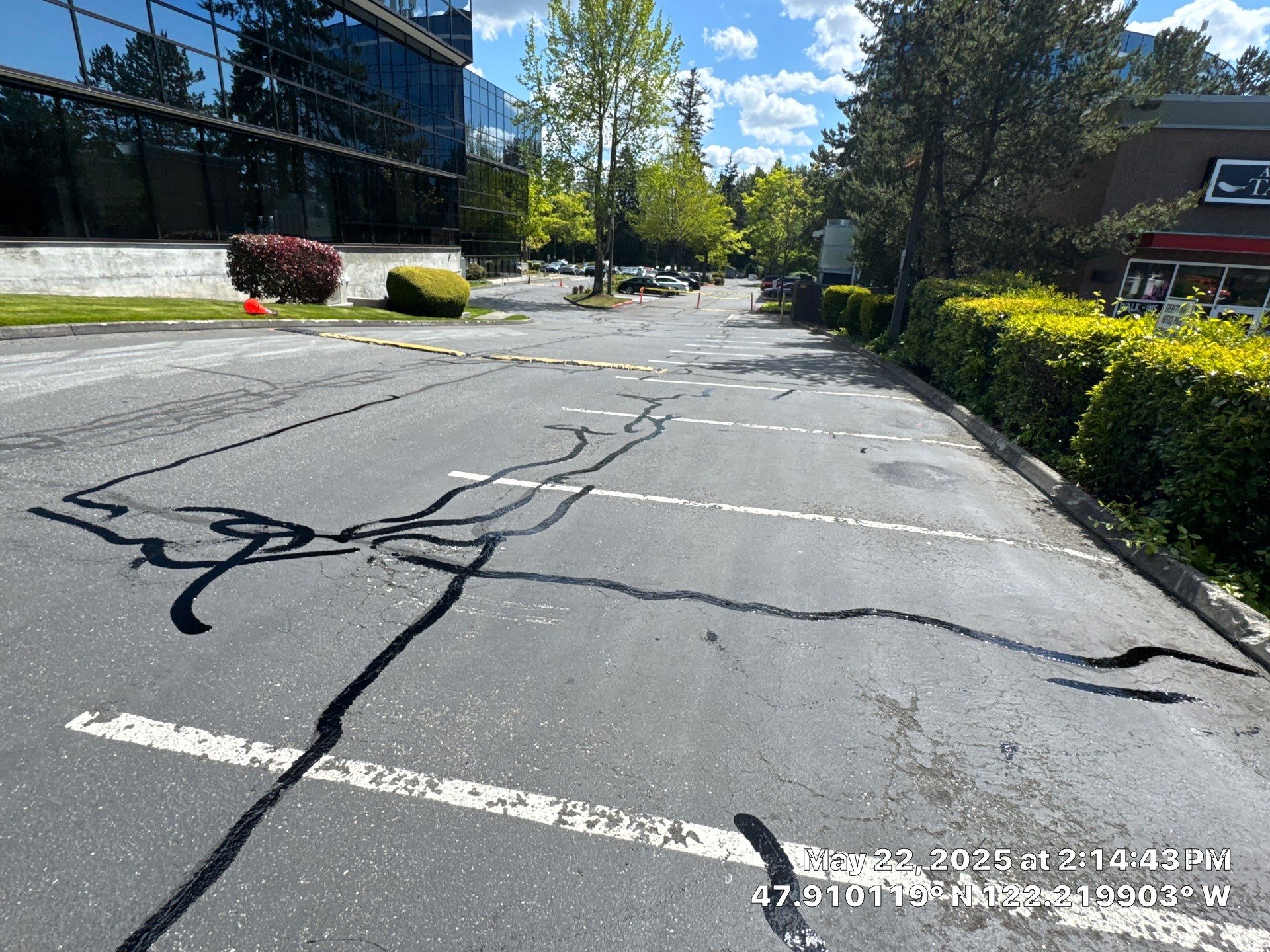Sealcoat Parking Lot Renovation | Everett  by Jireh Asphalt & Concrete Inc 