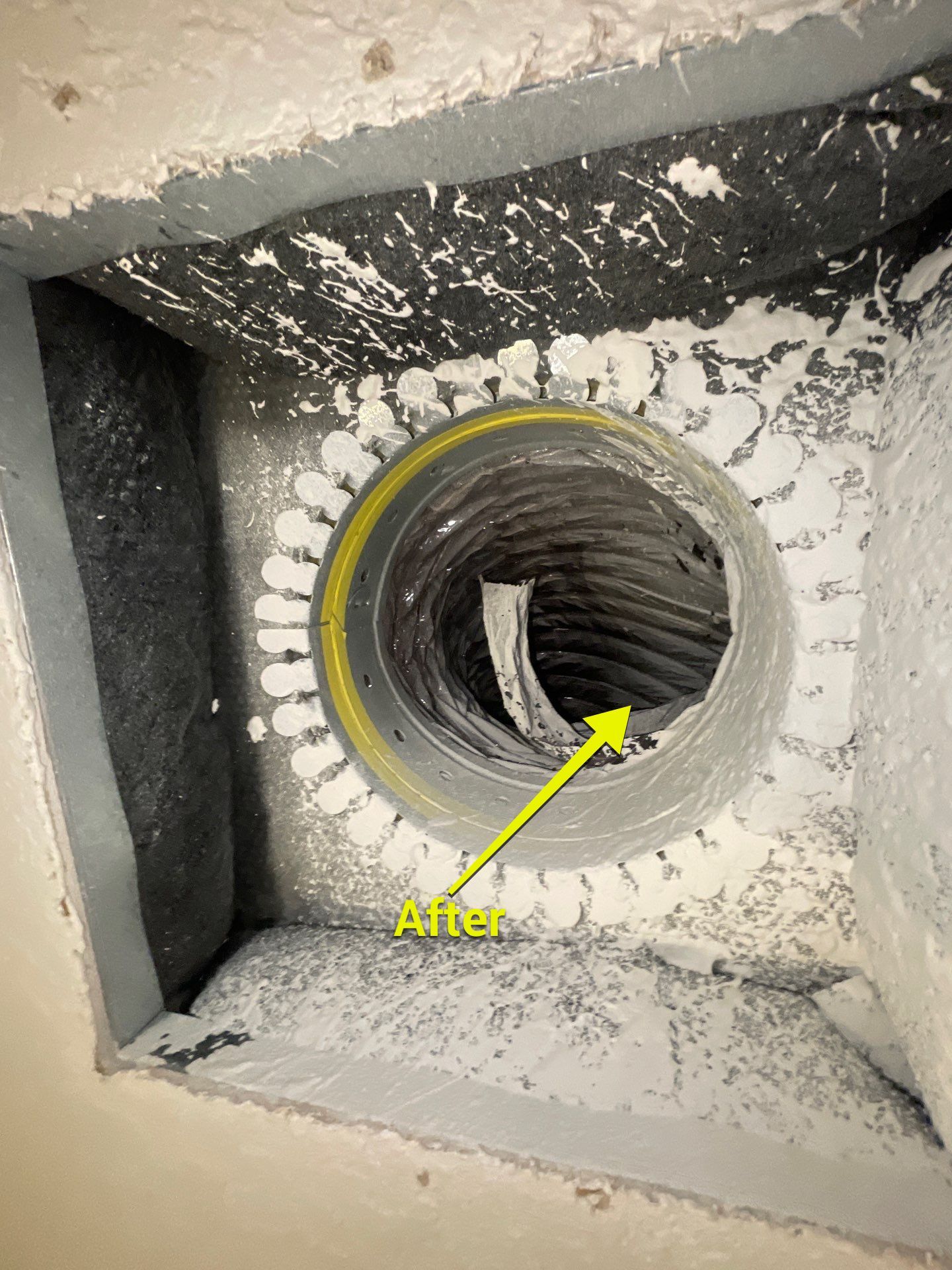 Air Duct Dryer Vent Cleaning in Winter Garden by Hygienic Air, Inc
