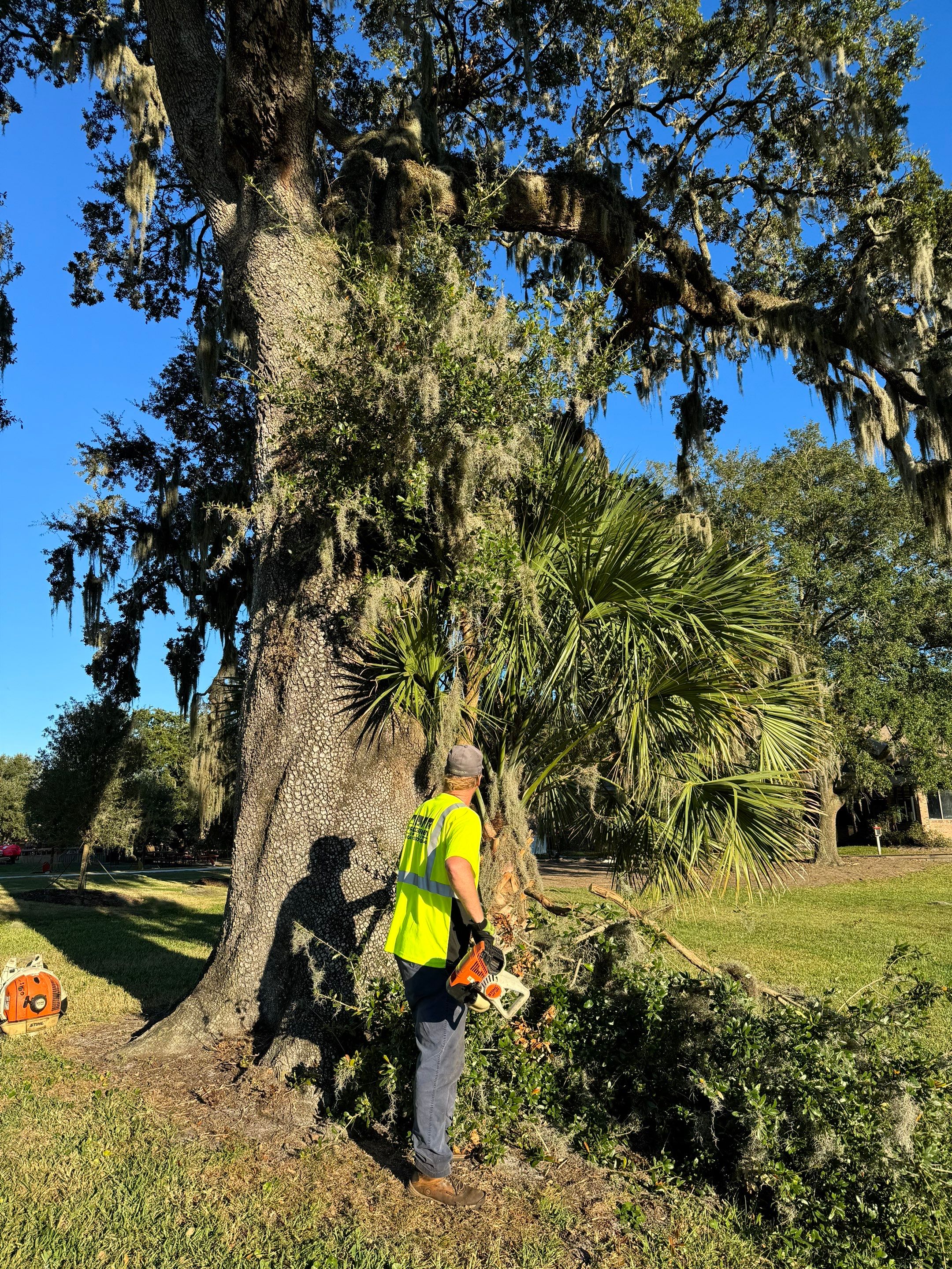 Volunteer Work | Episcopal High School of Jacksonville by ProGreen Services