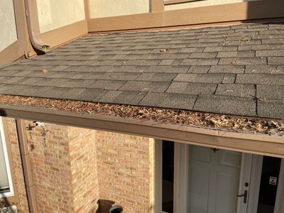 Turtle Shell gutter protection installation in Naperville, IL 60565, photograph 19