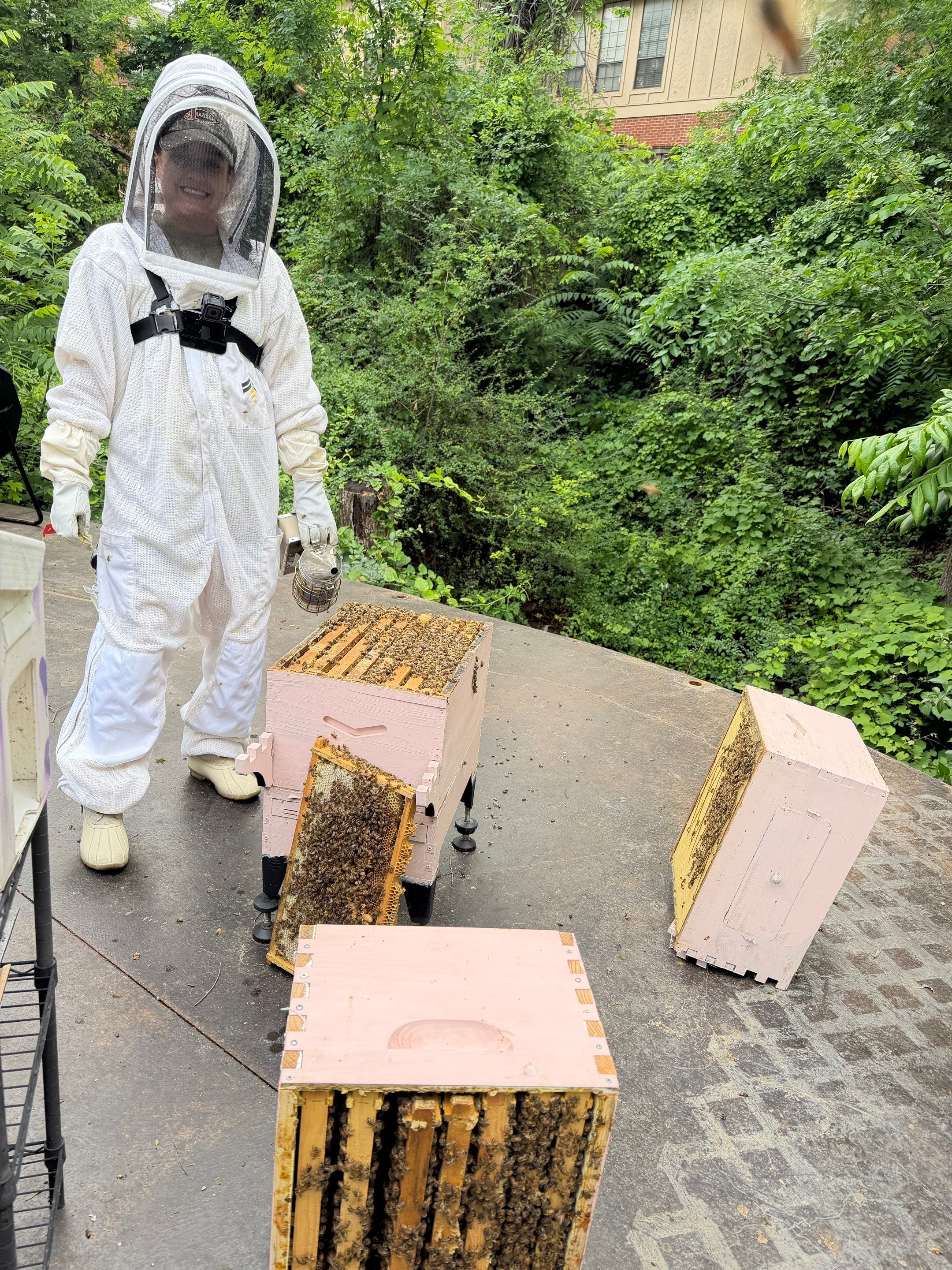 Ravine Terrace, Bees by Rockwall Honey Bee Company