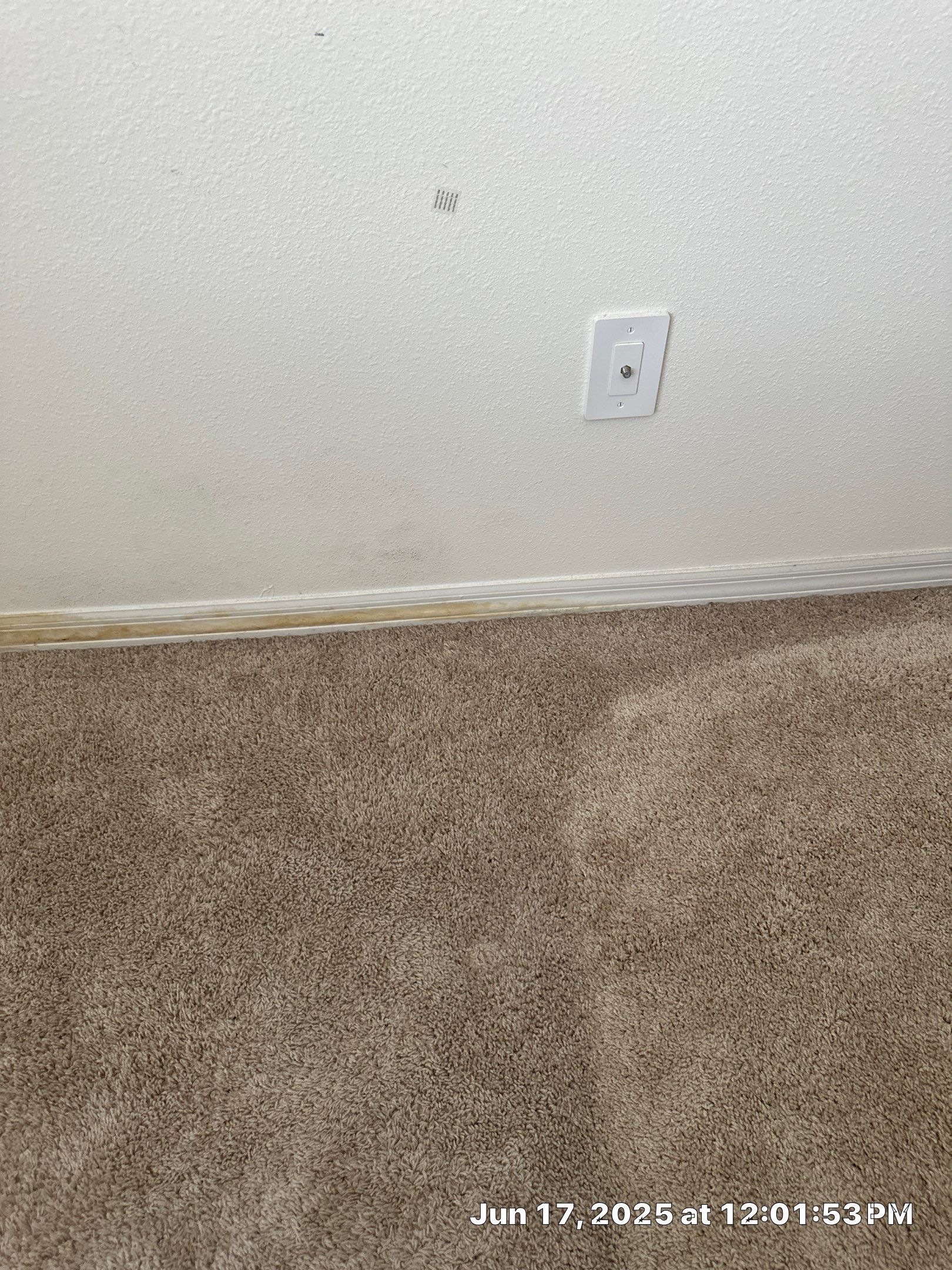 Moisture intrusion inspection with air quality testing by Building performance Solutions LLC
