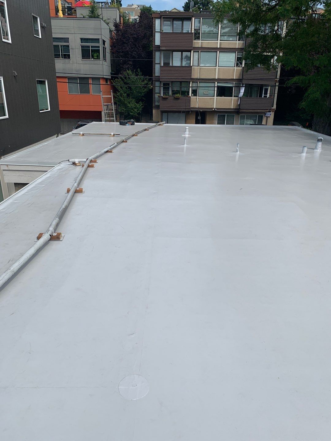 2025 Seattle Multi-Family Overlay by Alternative Roofing Systems Inc. 
