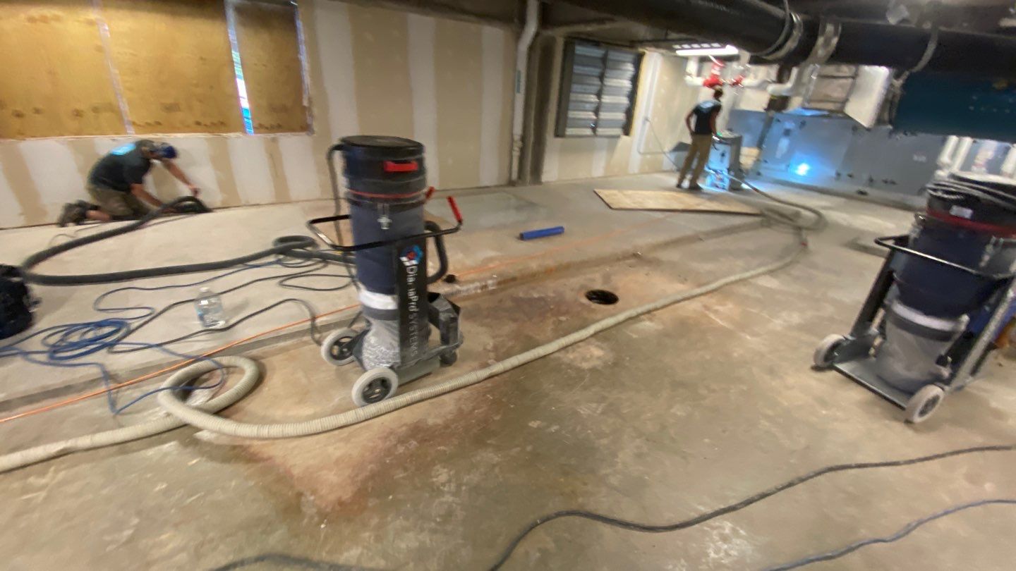 Basement using Mount Everest by Select Painting, Coatings & Garage Cabinets