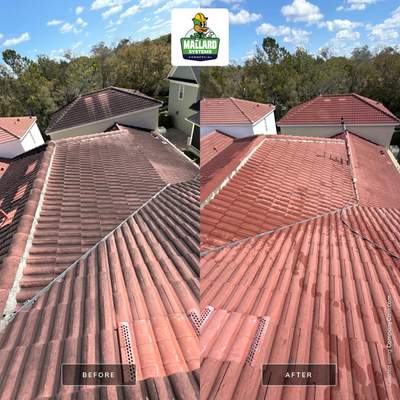 Tile Roof Cleaning
