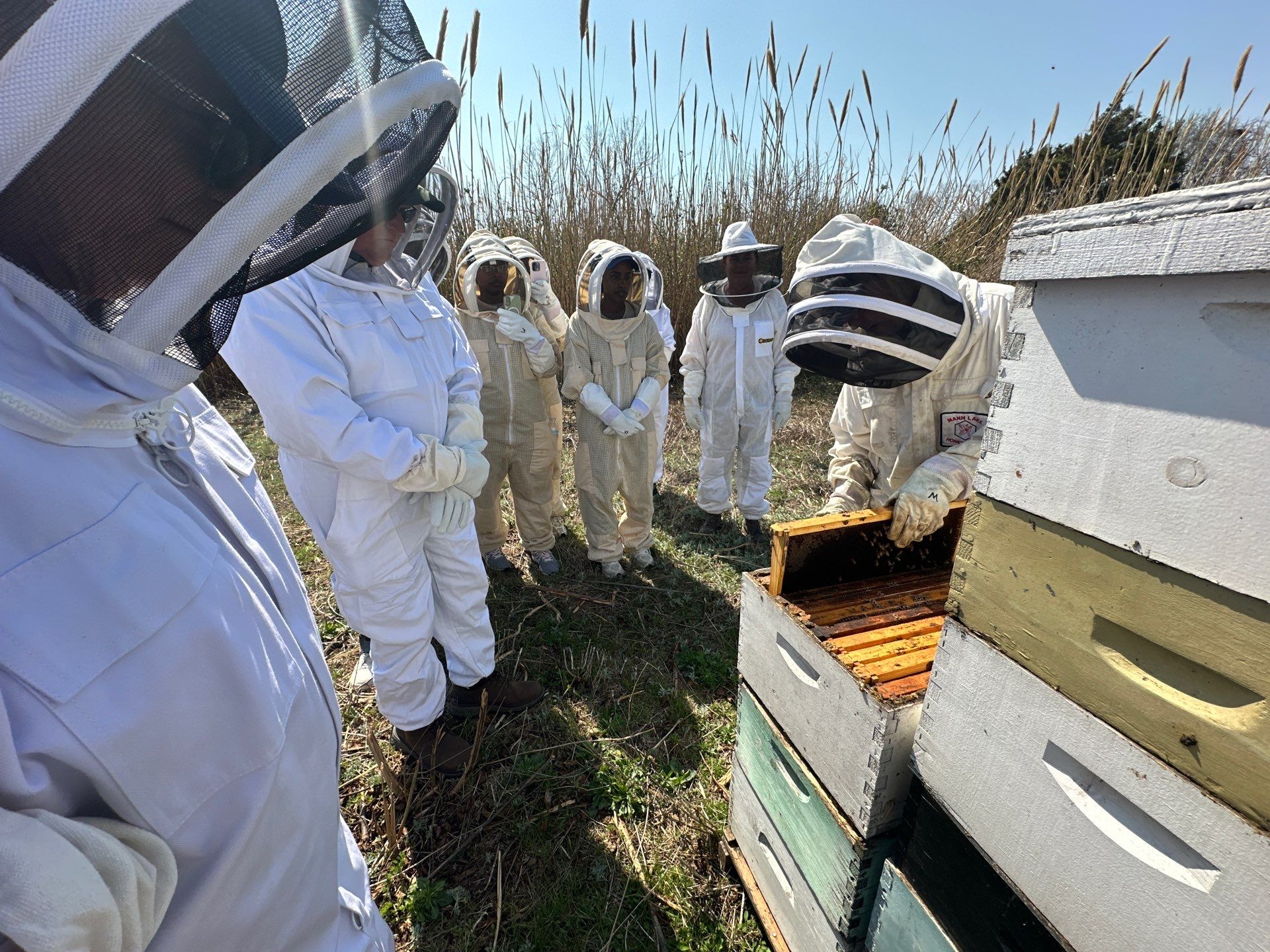Teaching at an Apiary in Rowlett by Rockwall Honey Bee Company