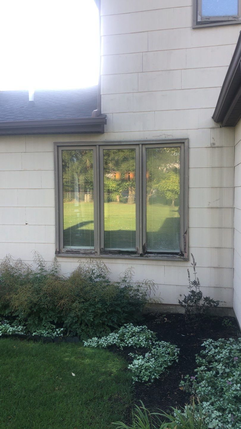 Window Replacement by Ivy Lea Construction