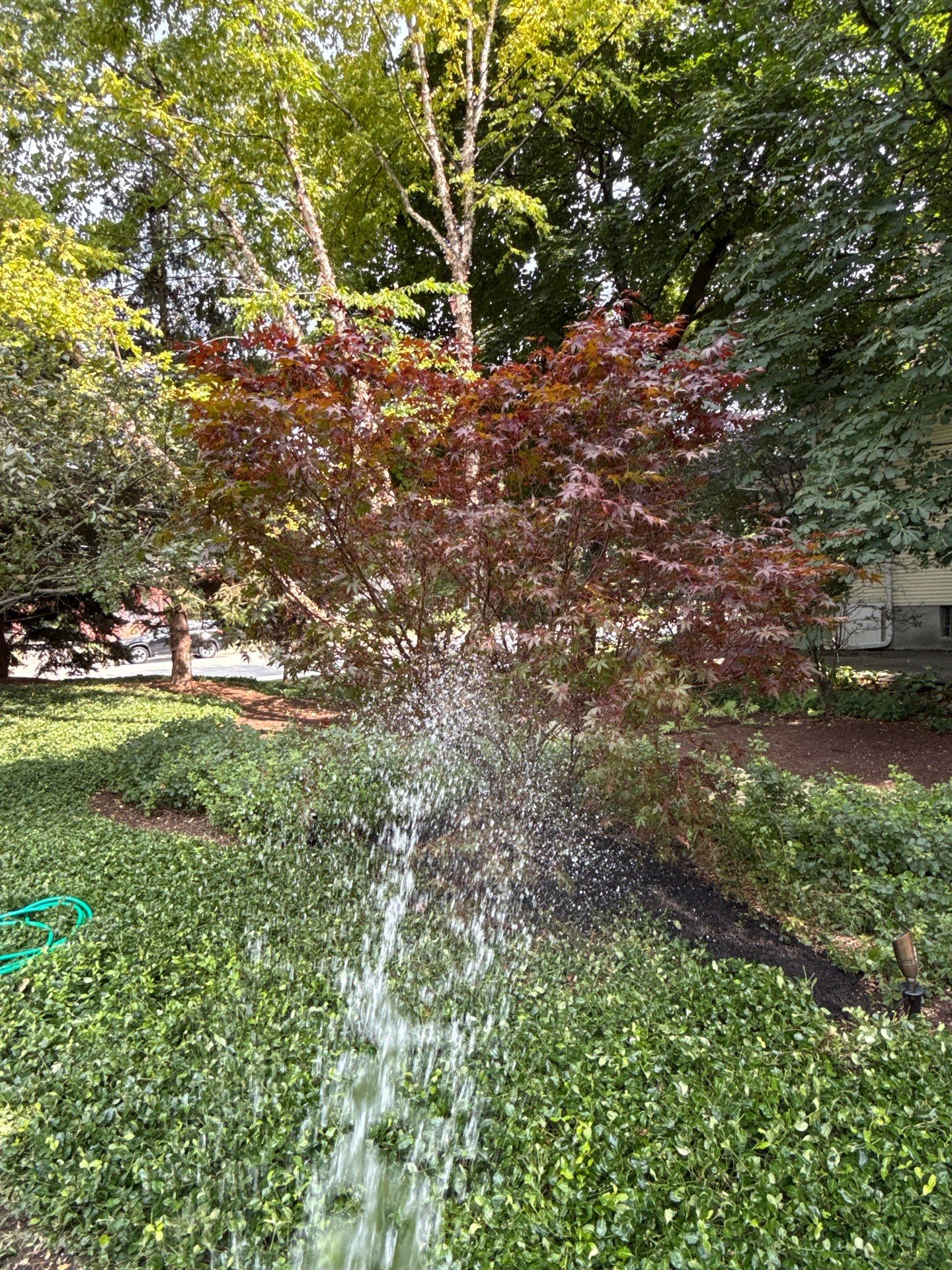 Scott M. - Arlington Heights, IL by A&N