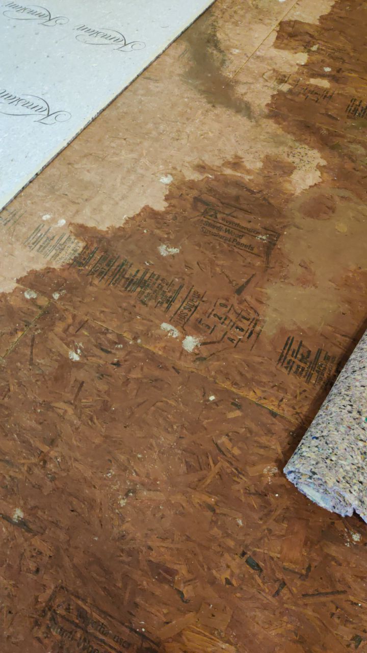 Water Damage Throughout Main Floor, Basement, and Crawl Space by Accountable Home Services