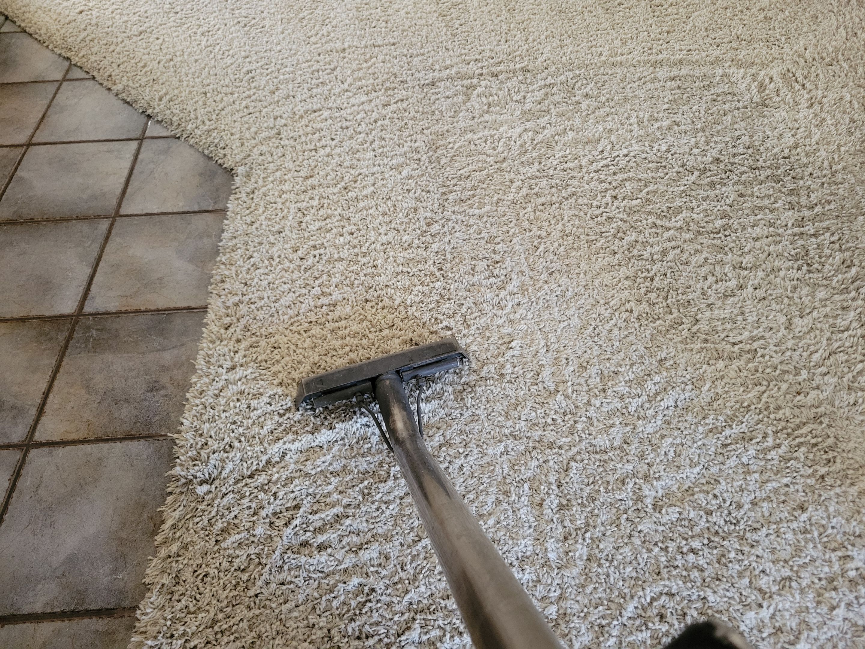 Carpet Cleaning with CRB in High-Traffic by Ardent Carpet Restore LLC