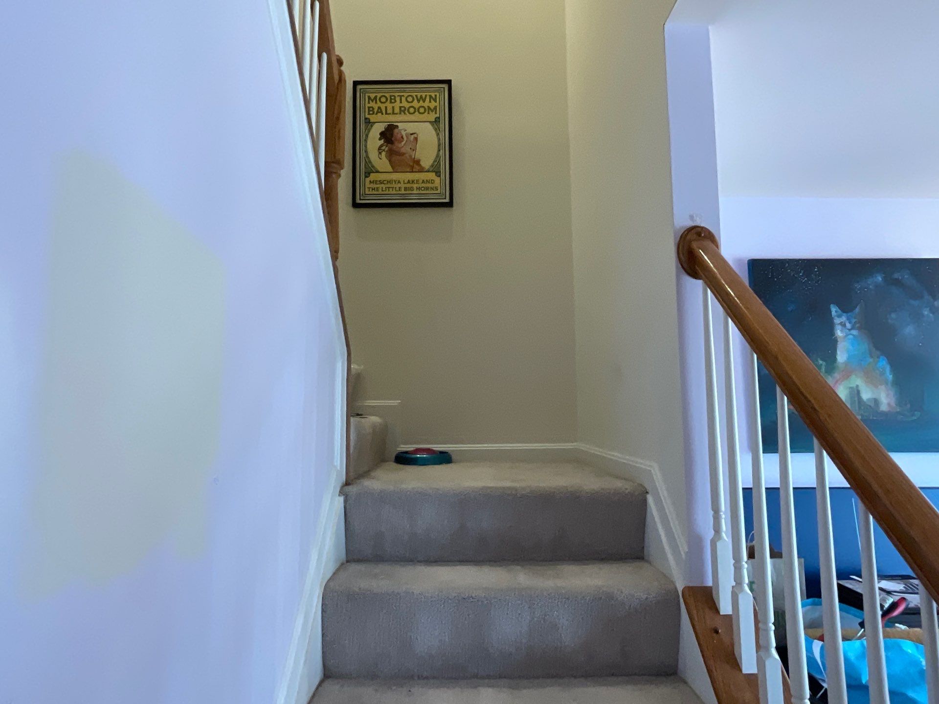 Deck Repair, New steps, New Paint job  by Alpha Design Services