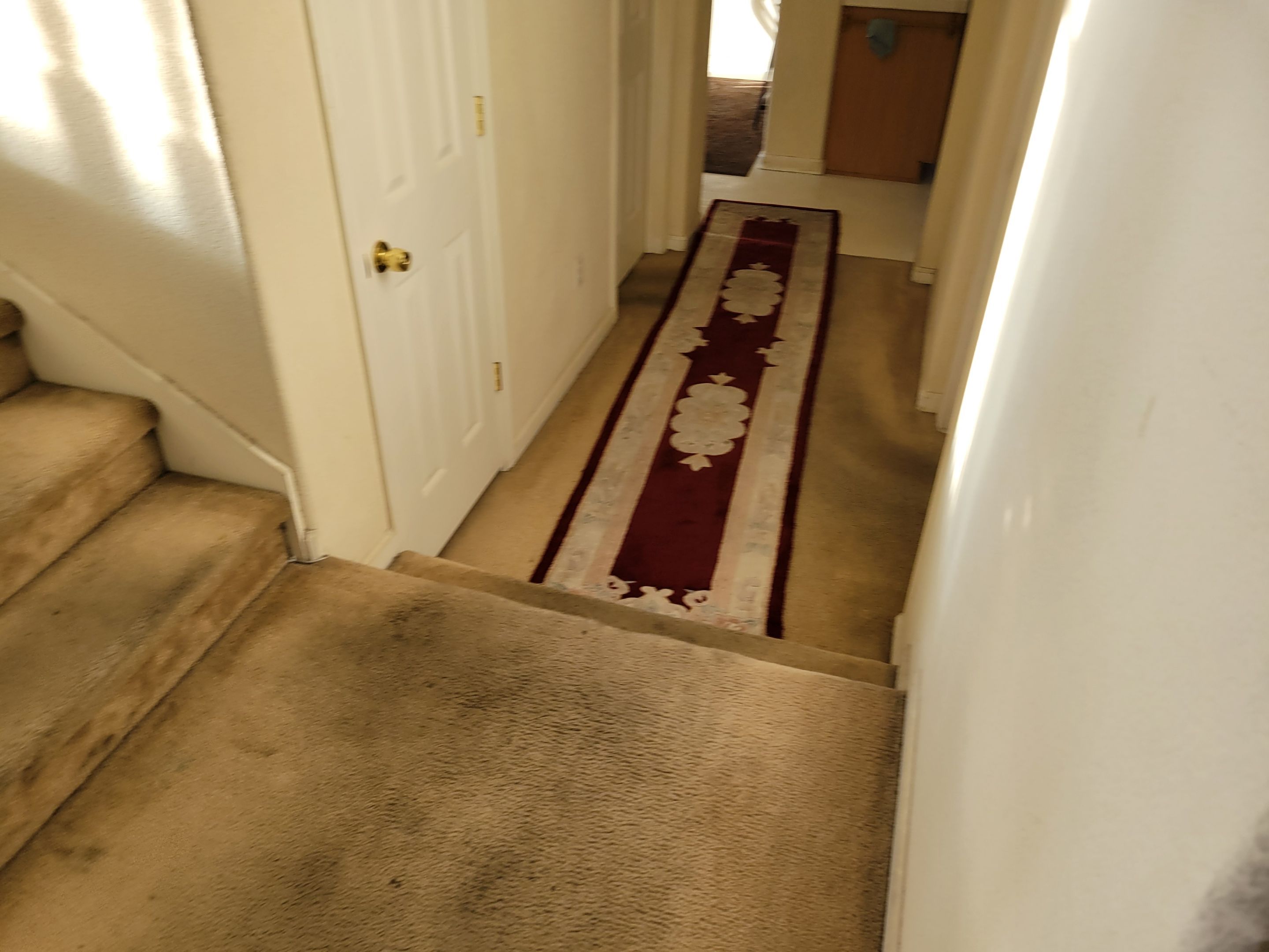 Cleaning Heavily Soiled Stairs and Entryway by Ardent Carpet Restore LLC