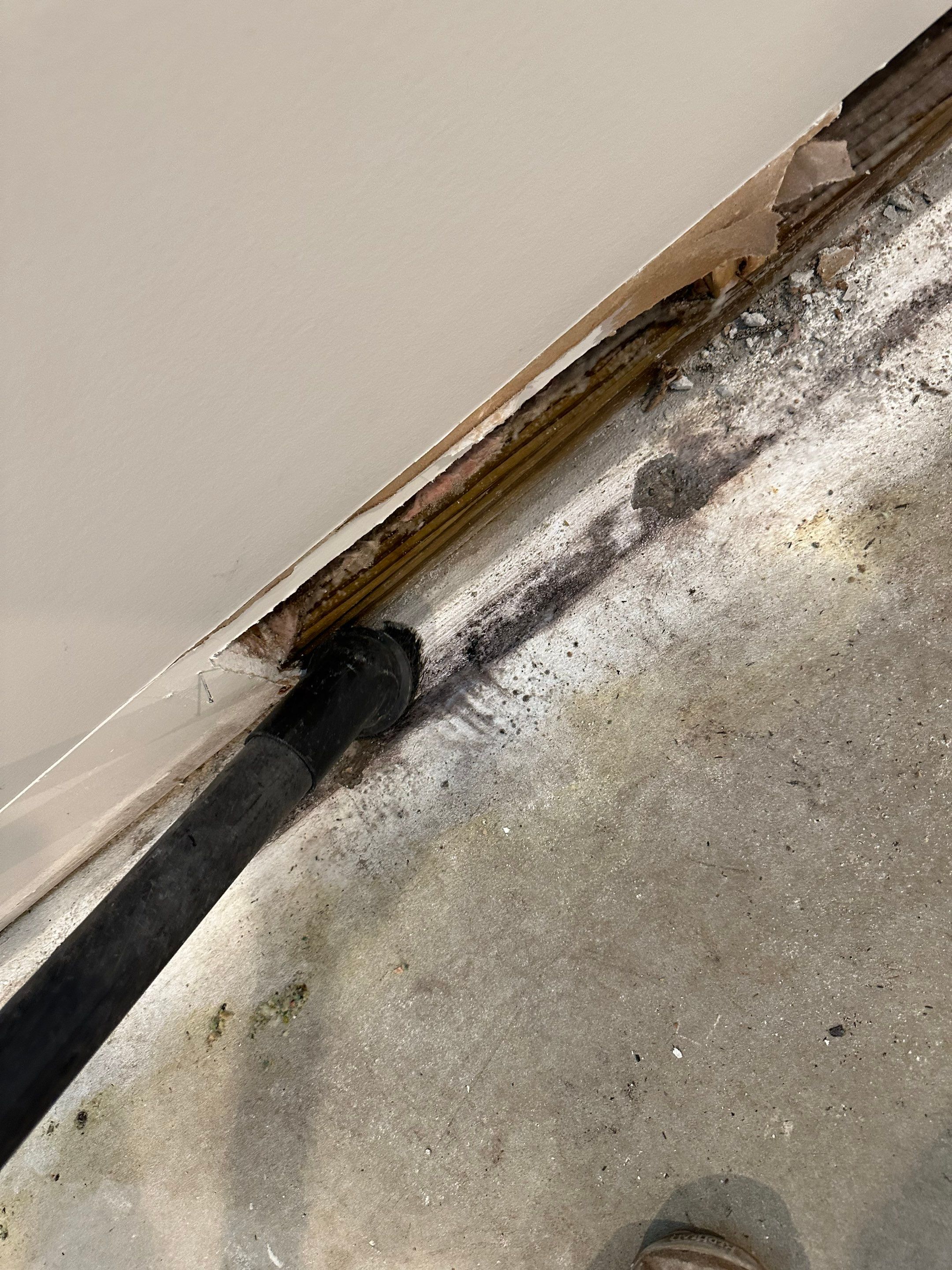 Foundation leak long term damage in new build home by BlueRed Restoration
