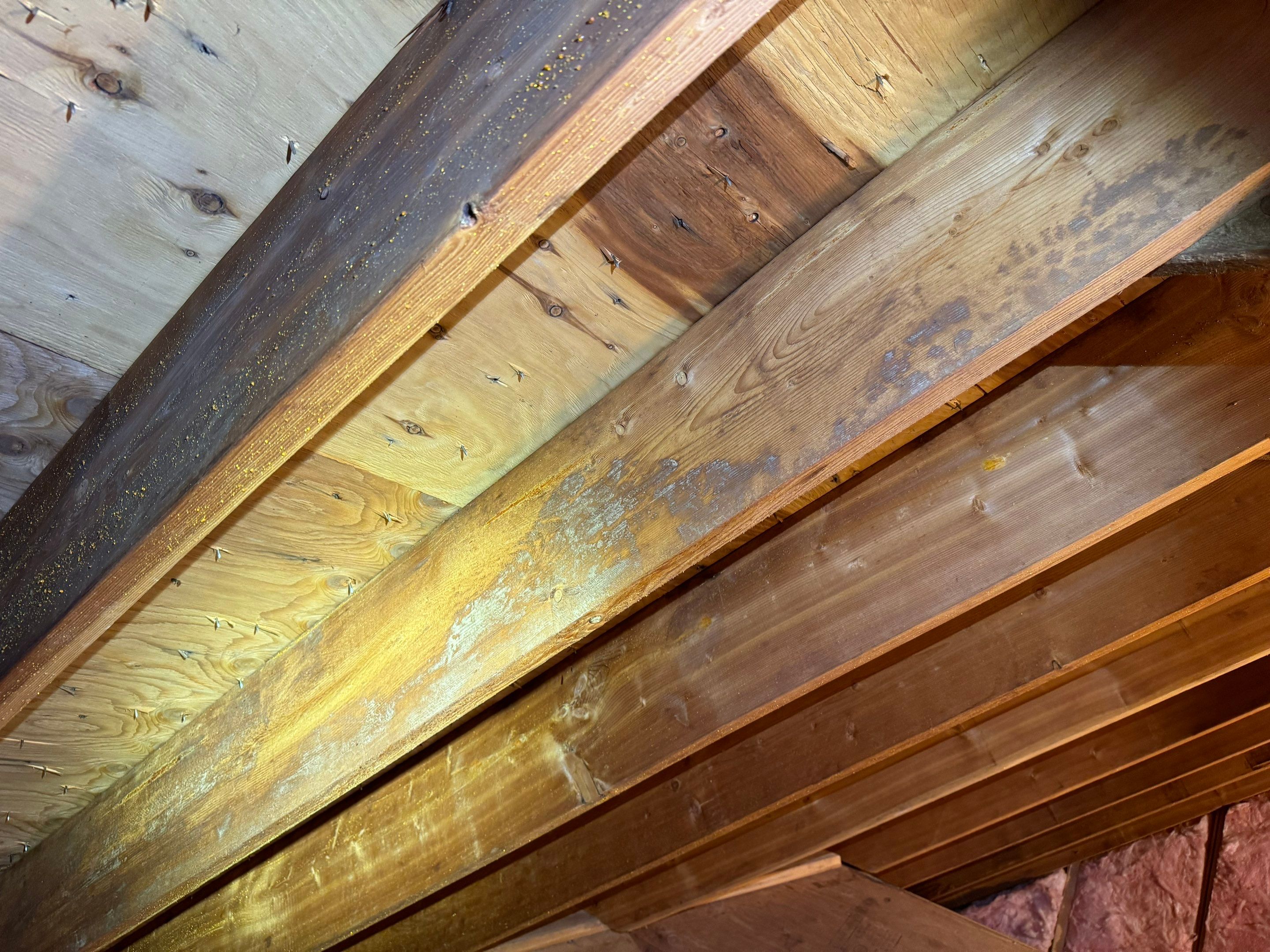 Bathroom Mold Remediation by Home Guarantee, LLC