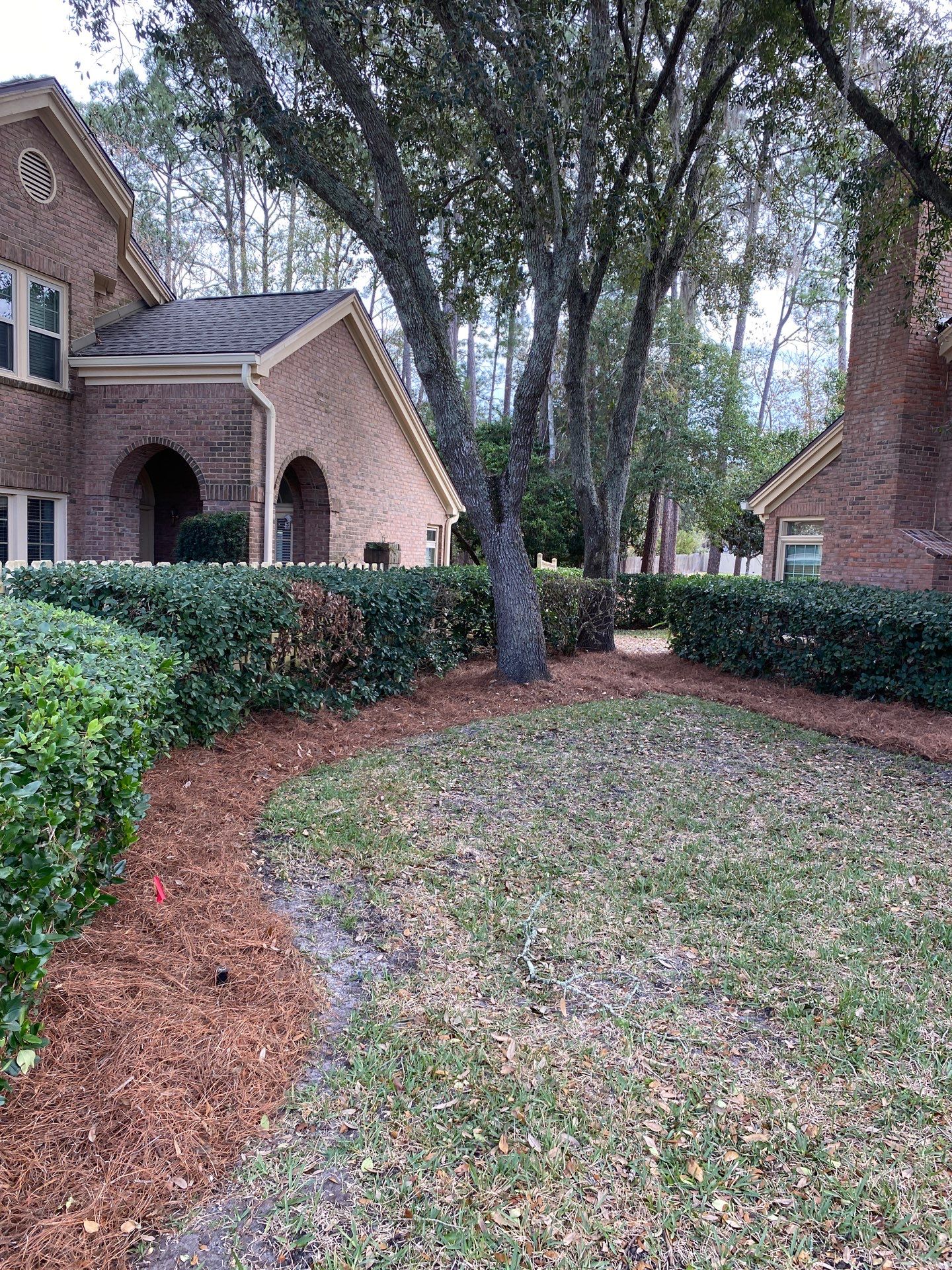 Deerwood Pointe | Tree Removal & Pine Straw Installation by ProGreen Services