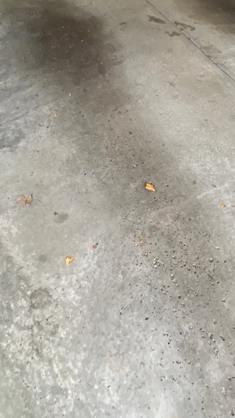 Garage Project in Presto by Floors in a Day, Inc