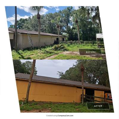 Project in Ocala