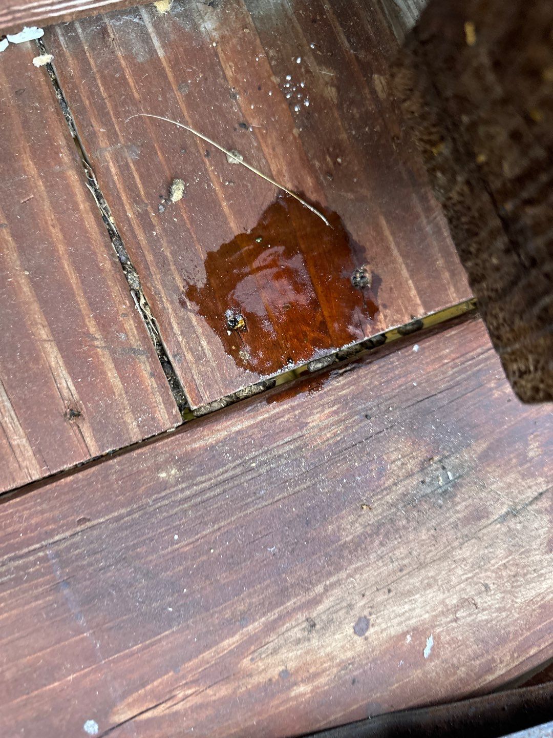 Cabin using Wood Sealant by DuraSeal