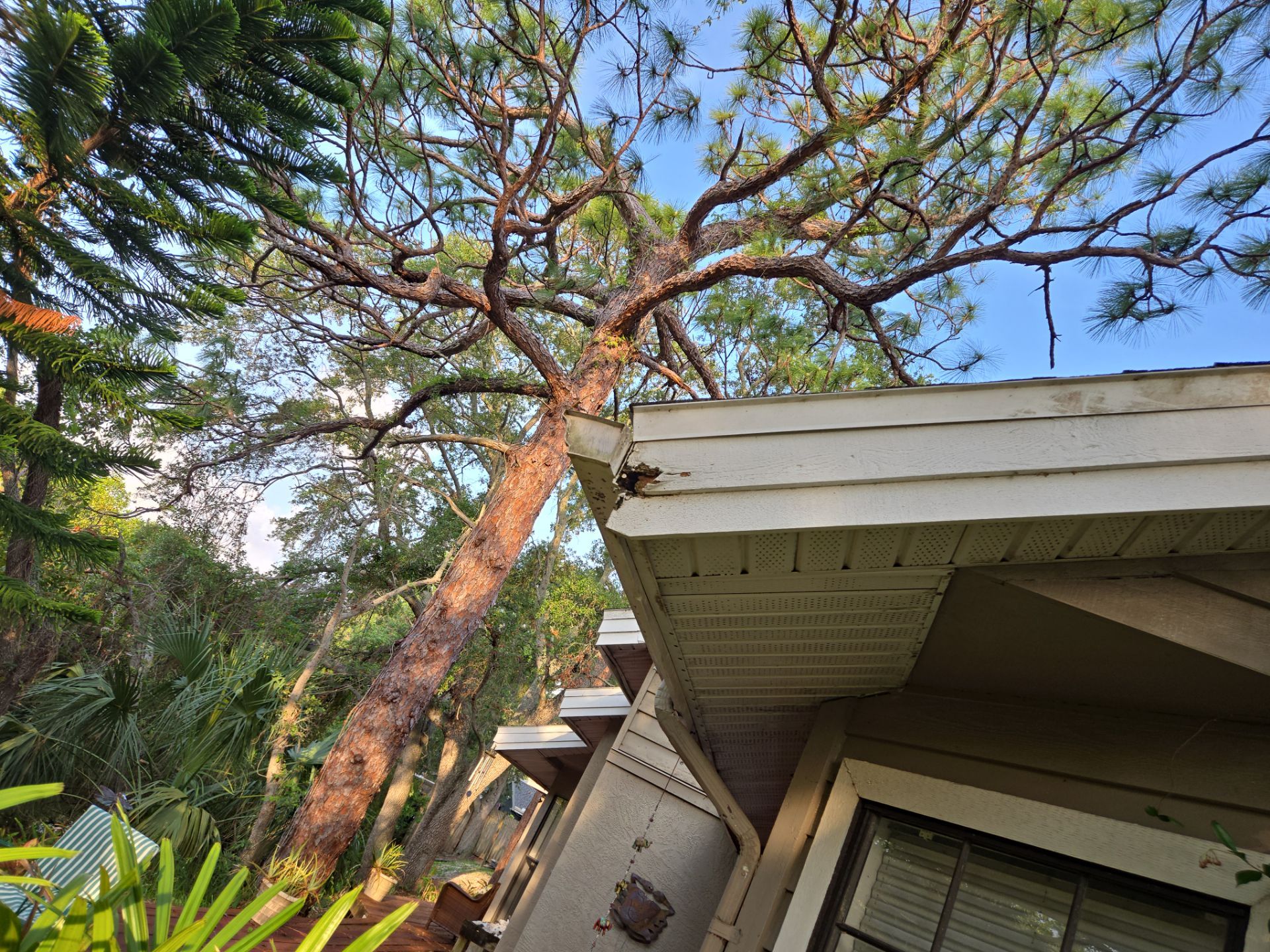 Project in Clearwater 33760 by Mitchell Roofing Company LLC 
