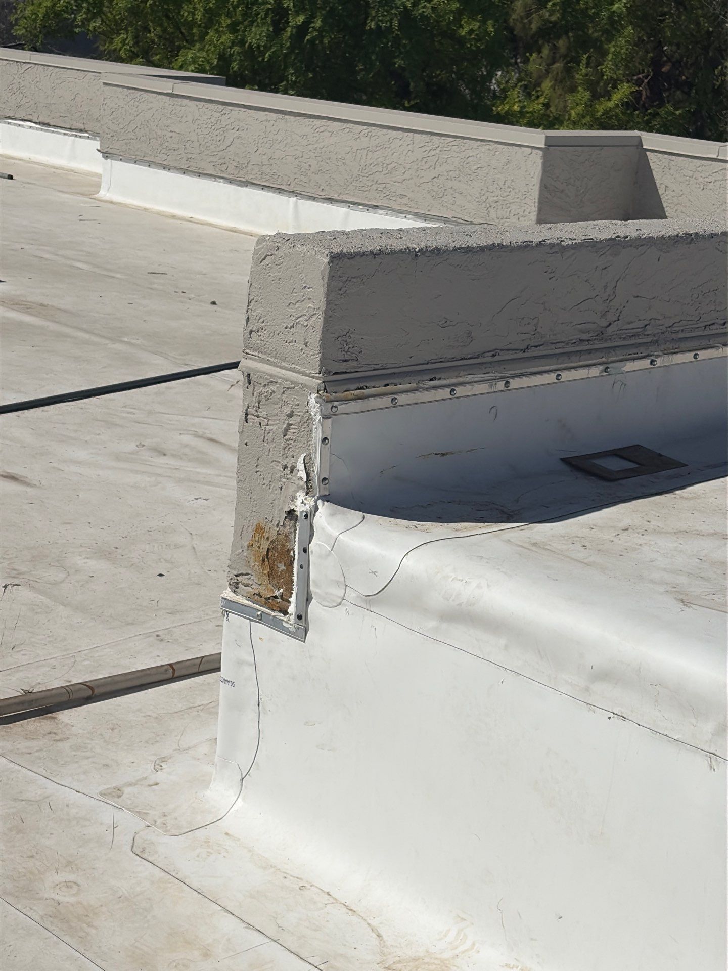 Project in Glendale by Crush Development Services LLC