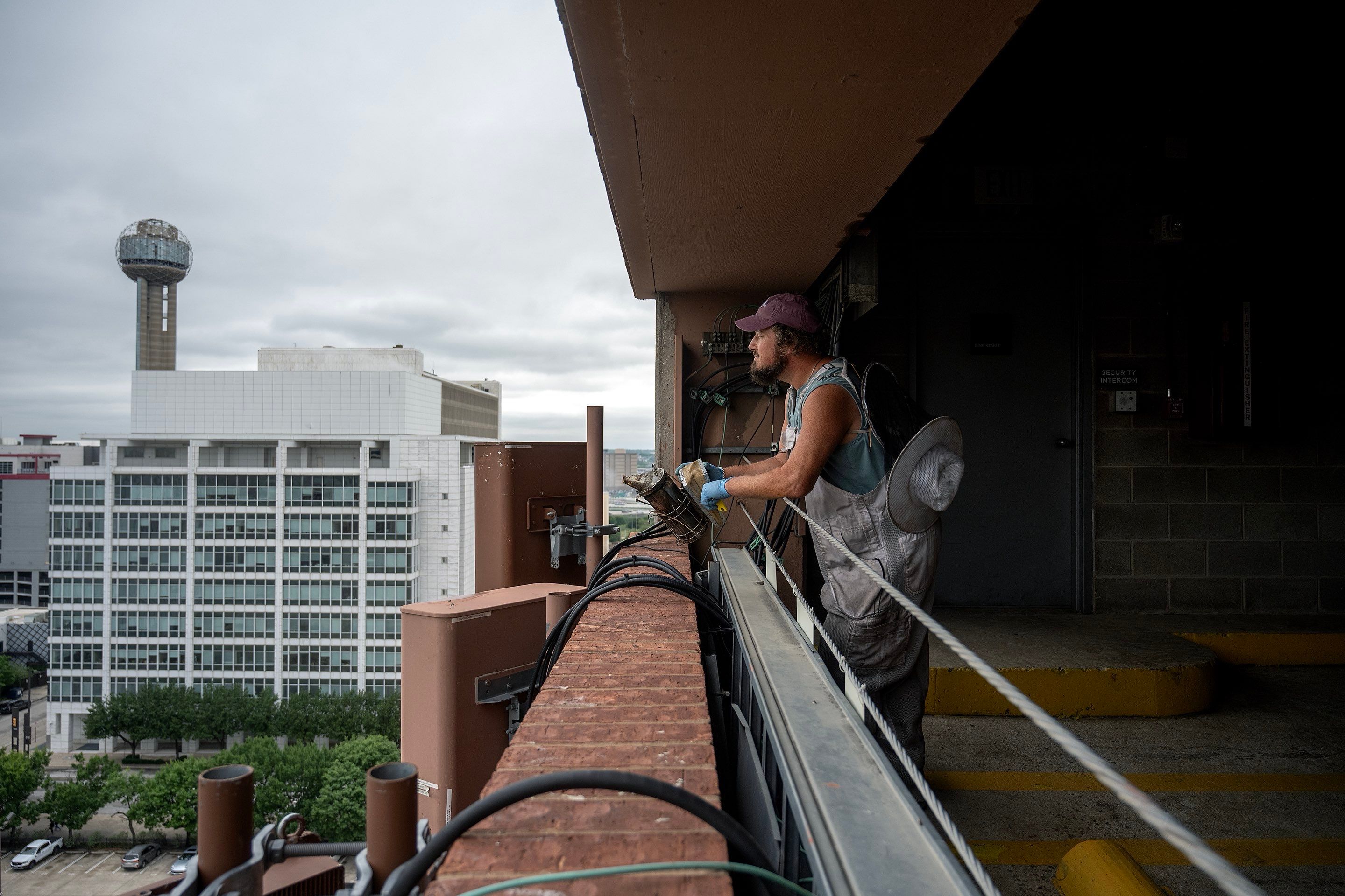 Urban Beekeeping in Dallas by Rockwall Honey Bee Company