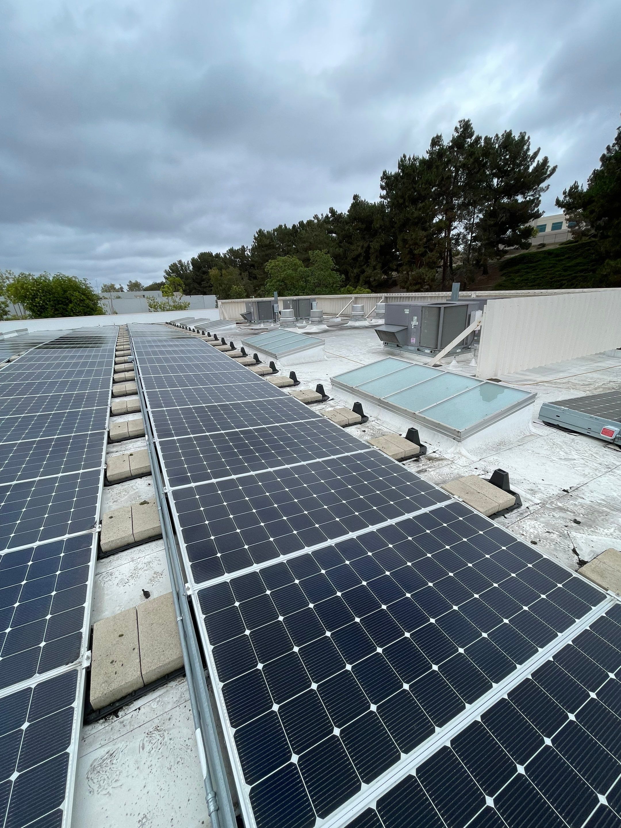 Commercial Solar Cleaning by Palm Coast Solar Cleaning