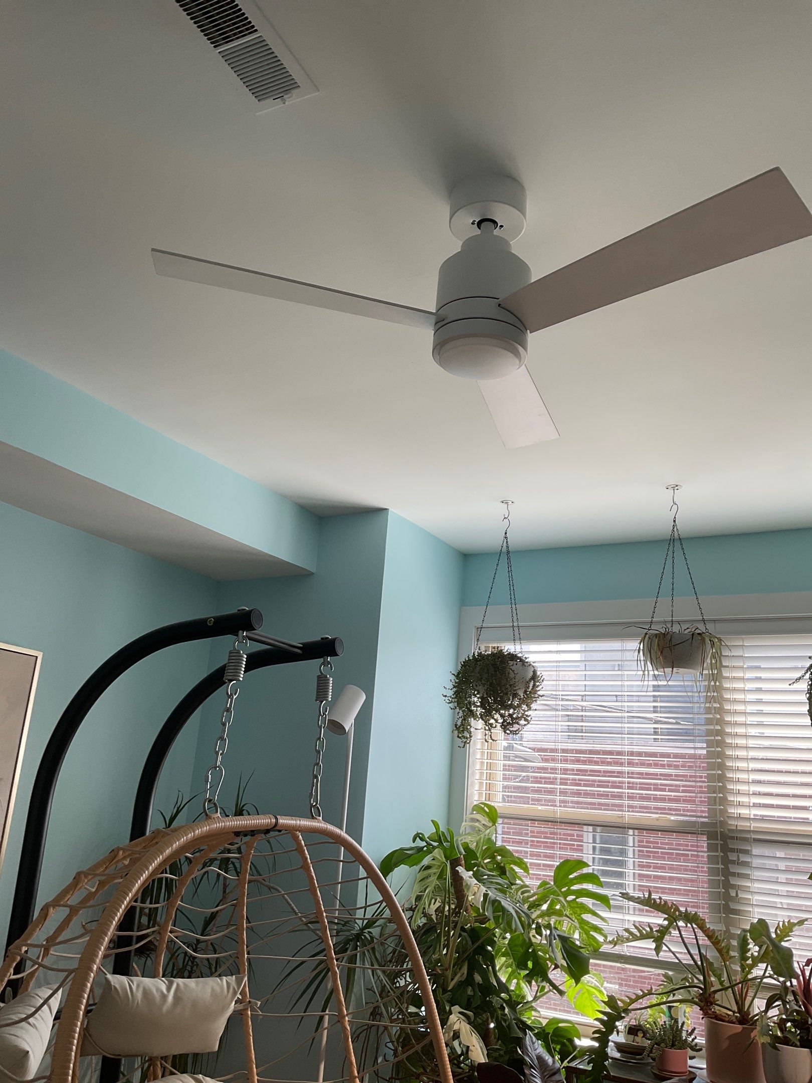 Bold Color, Fresh Energy, and a Full Home Refresh in Point Breeze ✨ by Groovy Hues