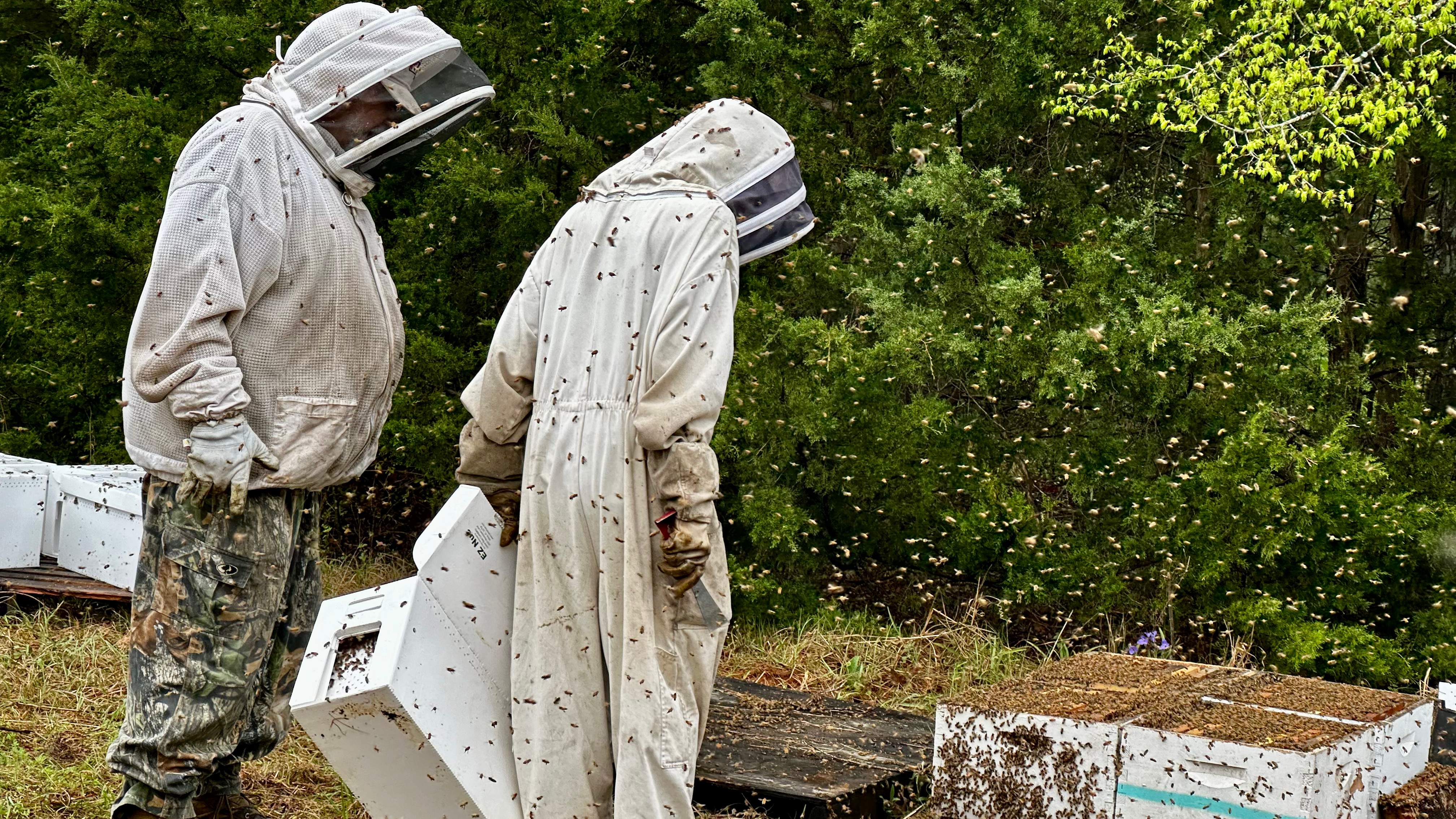 BeeGirl ETX HQ by Rockwall Honey Bee Company