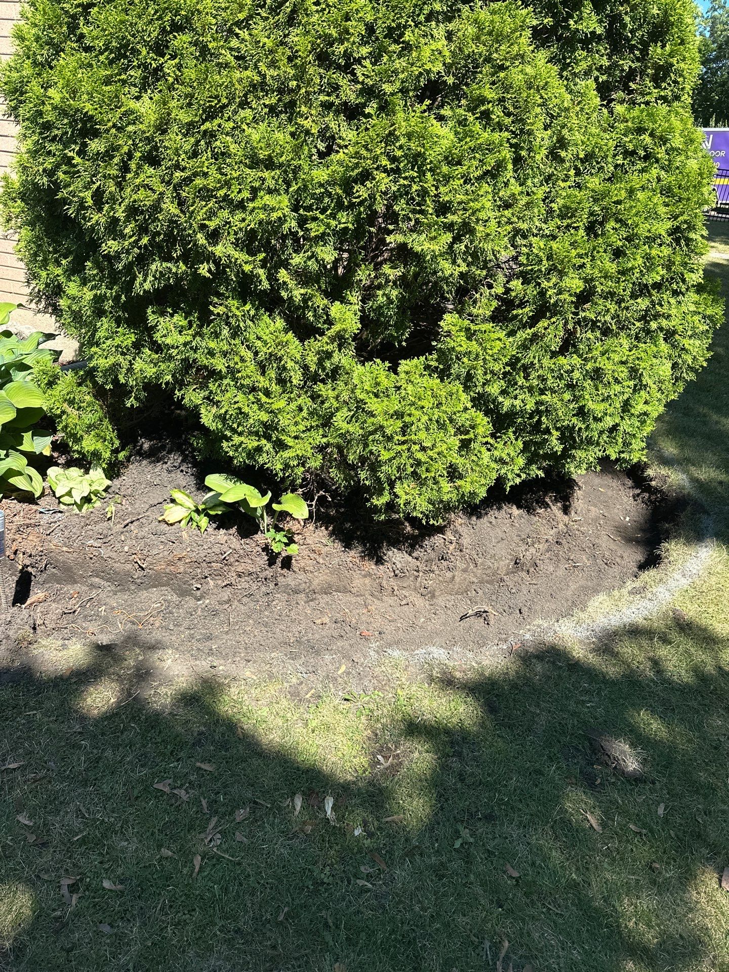 John S. - Des Plaines, IL by A&N 