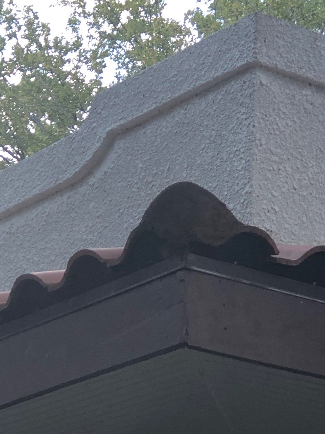 Tile roof project by Springtree Restoration 