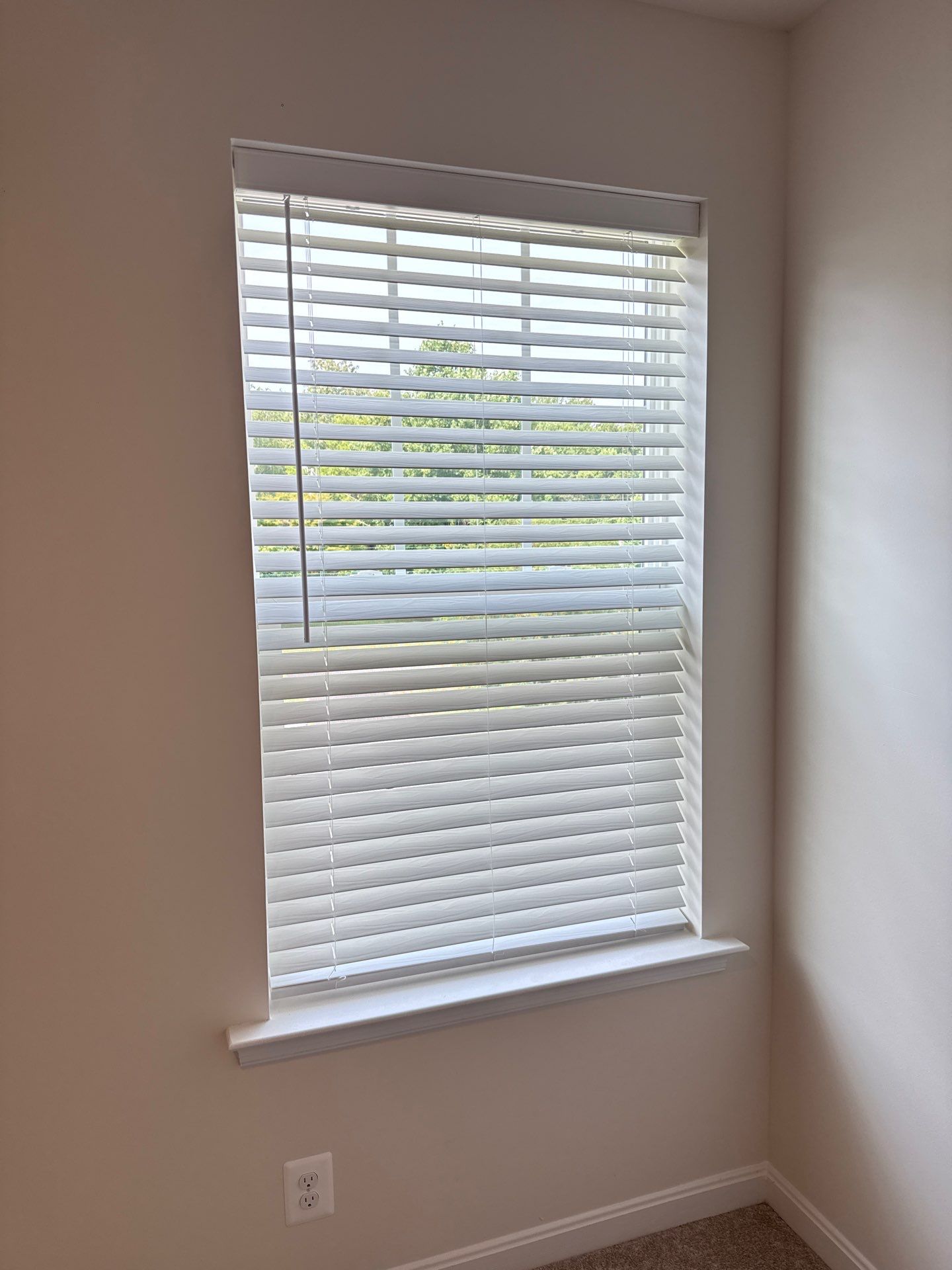 Faux Wood Blind Project in Dunkirk, MD by Southern Maryland Custom Blinds