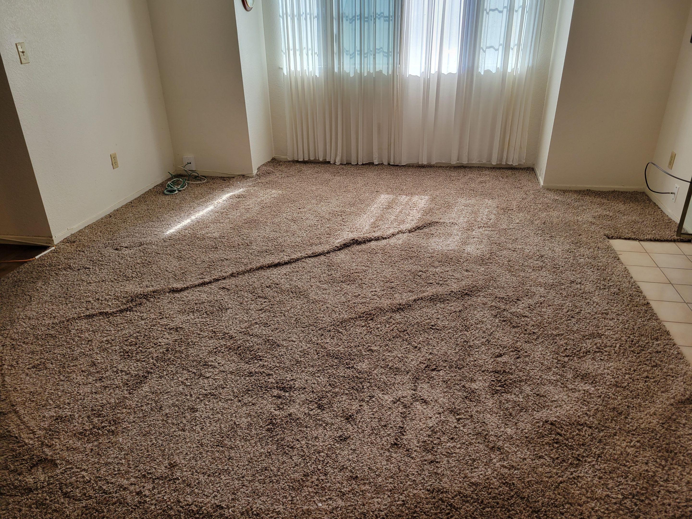 Post Water-Damage, Carpet Re-stretch & Clean by Ardent Carpet Restore LLC