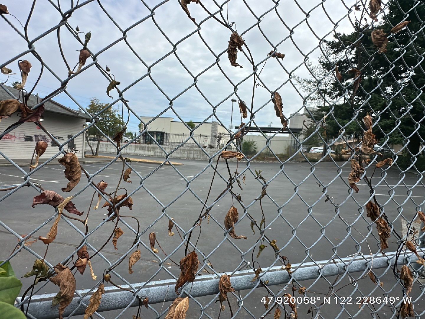 Vitaliy | Asphalt Driveway  by Jireh Asphalt & Concrete Inc 