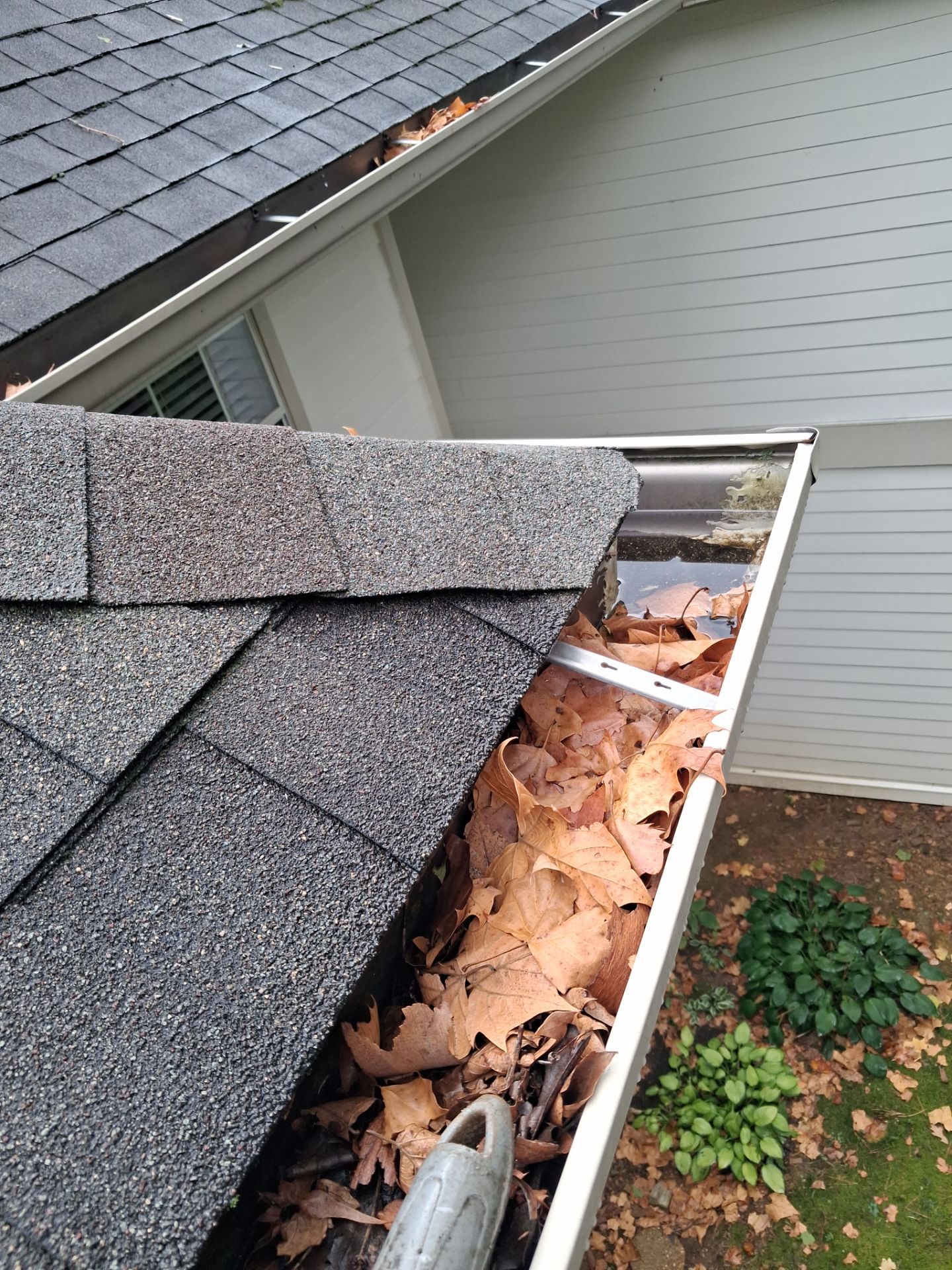 Commercial gutter cleaning Georgia before photo with filled gutters