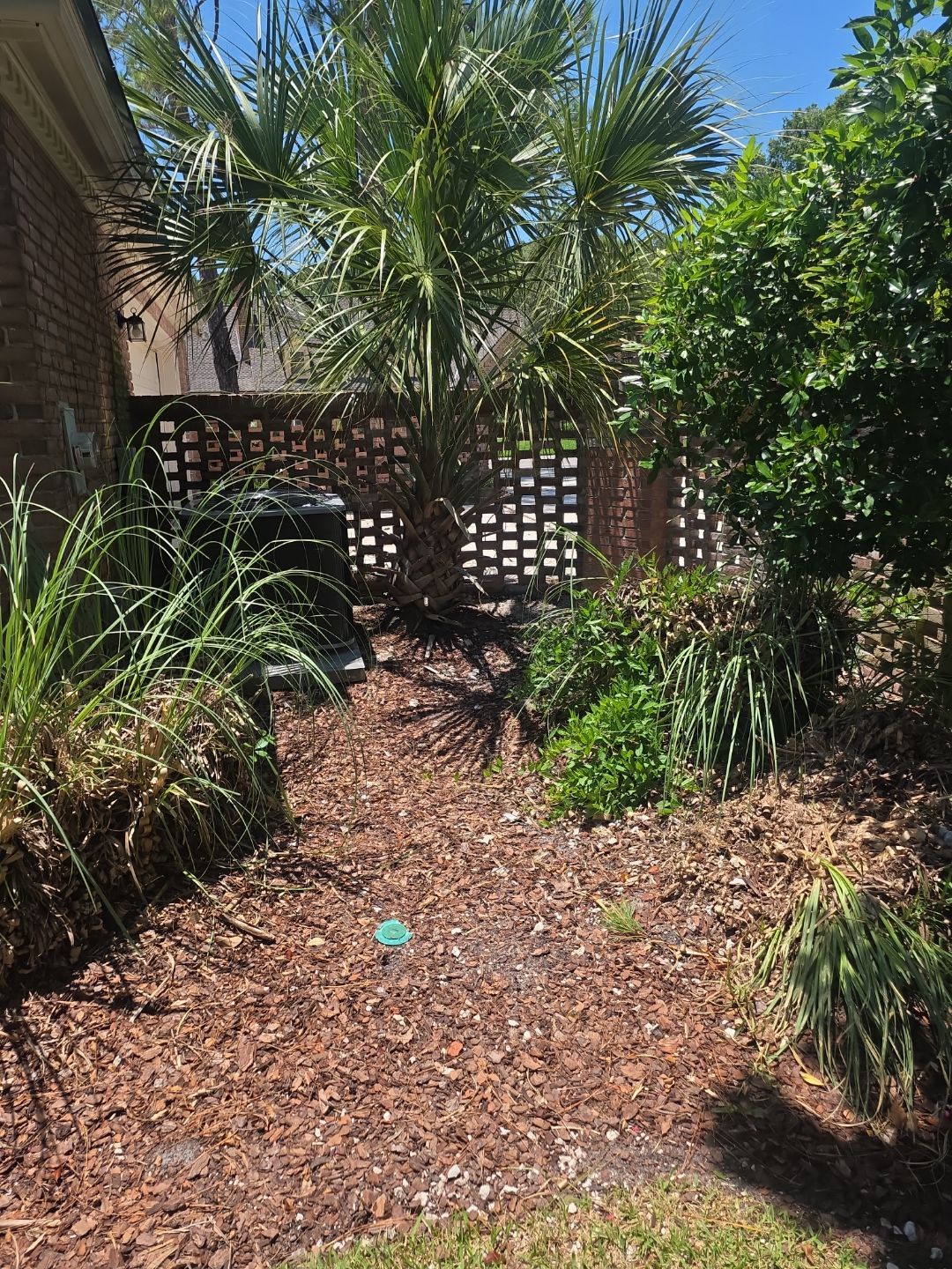 Deerwood Resident | Freshen Up Project by ProGreen Services