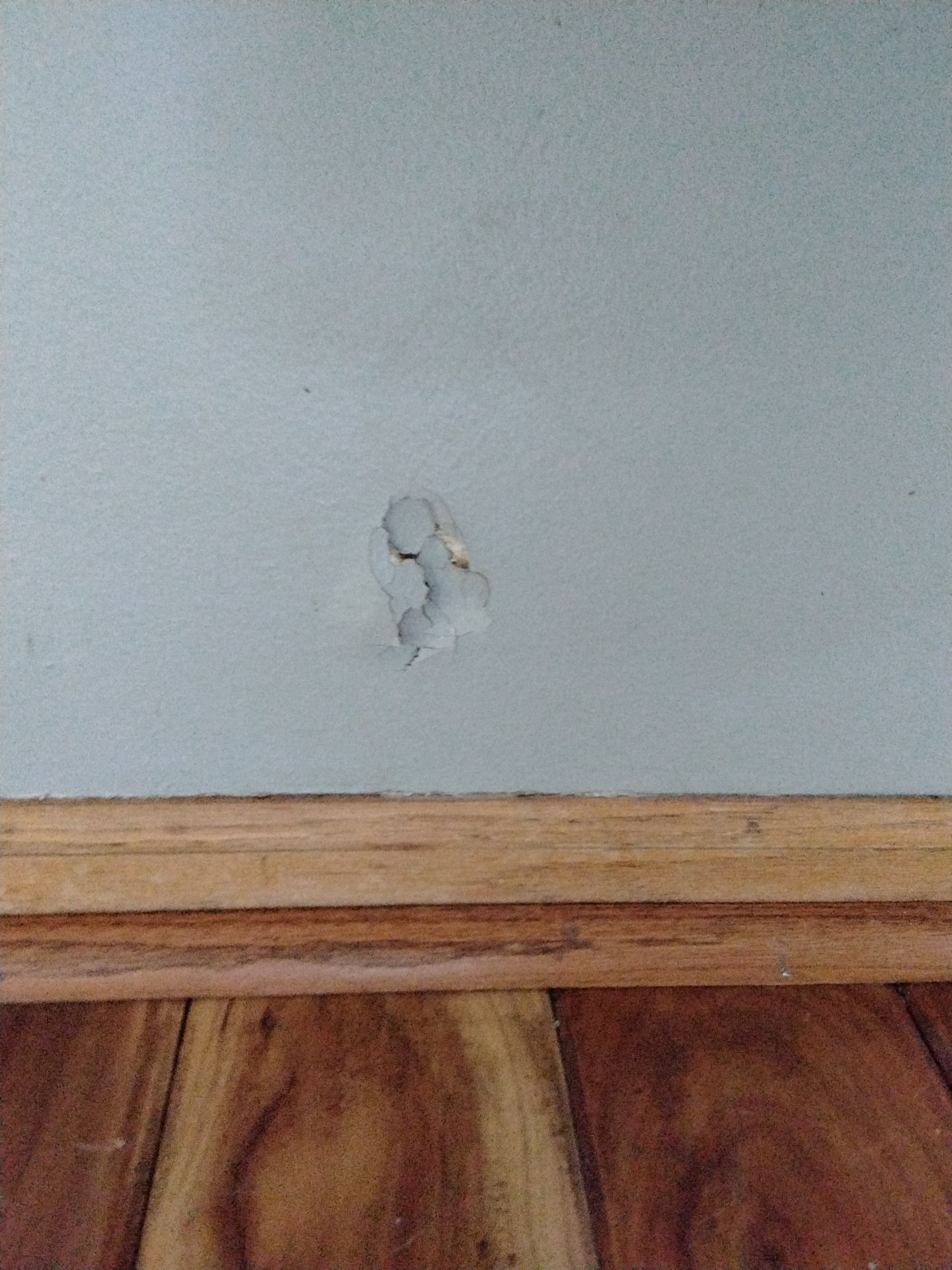Repaint Accent Walls with Color Change and drywall repairs by Midwest Paint LLC
