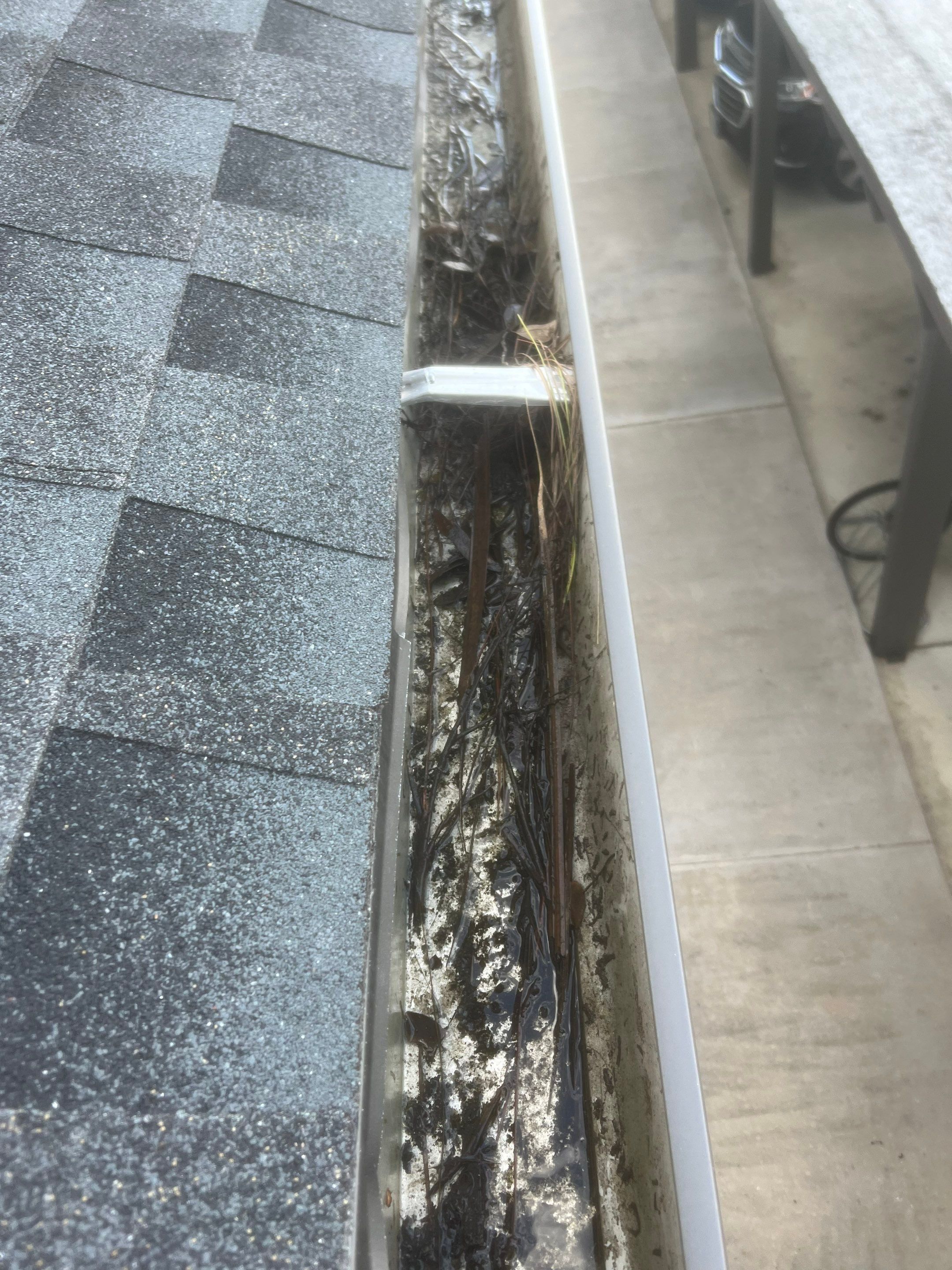 Professional Gutter Cleaning in Fort Myers FL by Gutter Professors