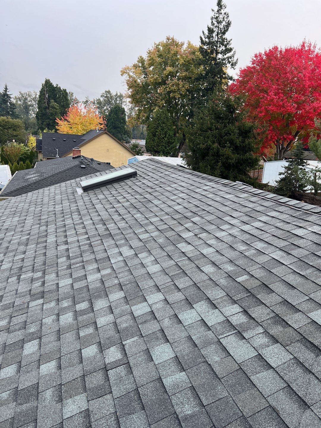 Sierra Gray Shingles by Reimagine Roofing