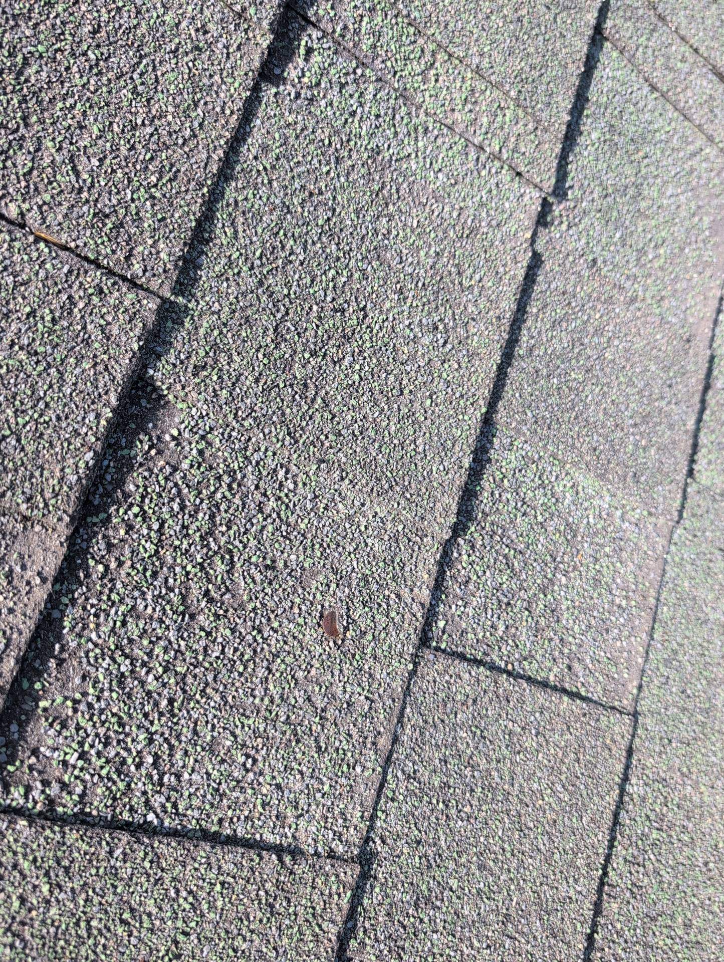 Roof Replacement & Seamless Gutters in Cape Fair by Table Rock Design + Build