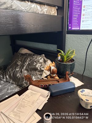 Jones Interior Paint