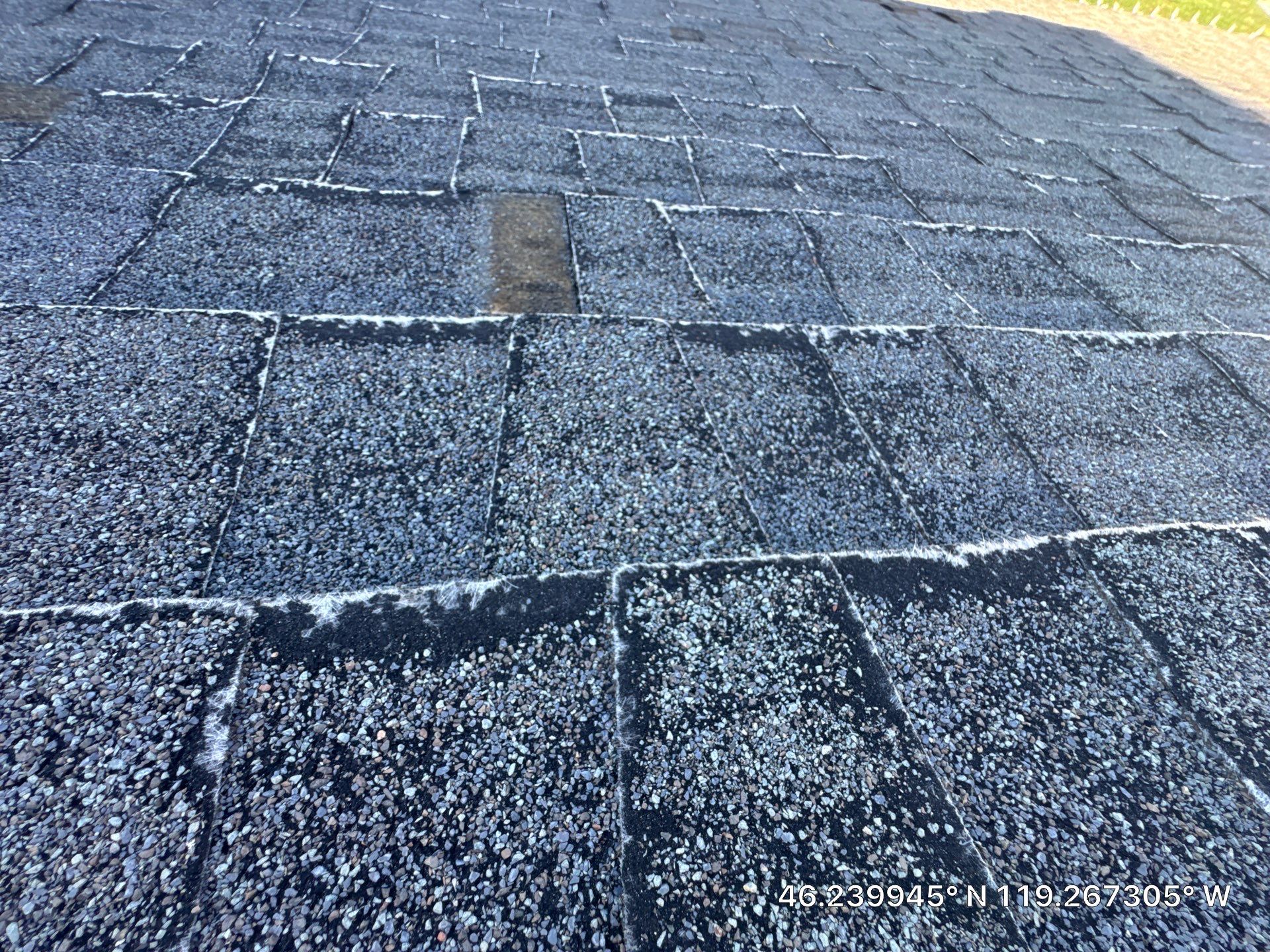 Richland Residential Roof Replacement and Plywood Decking Repair by Alpine Roofing