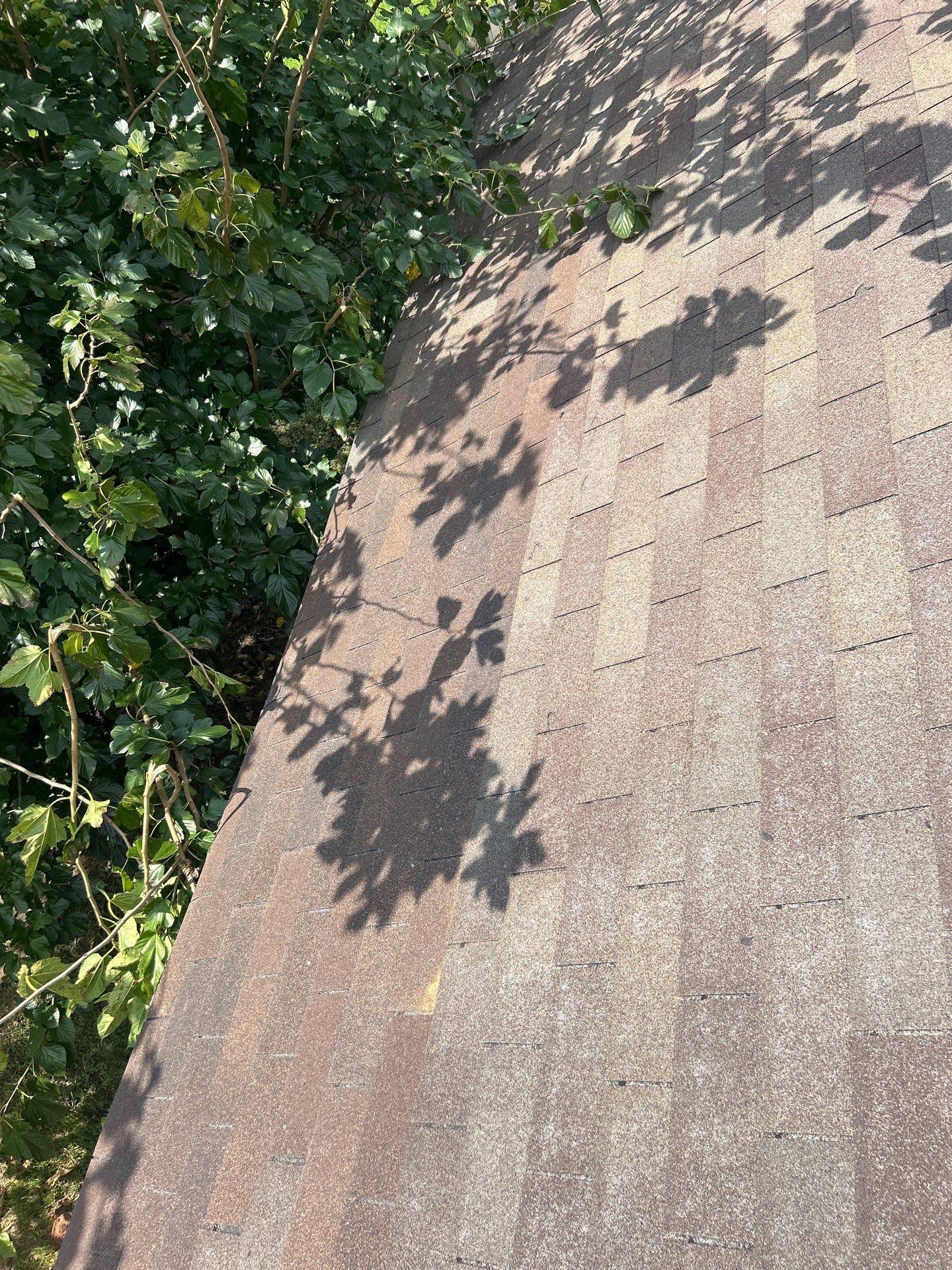 Roof Repair Houston by Roof Repair Services LLC